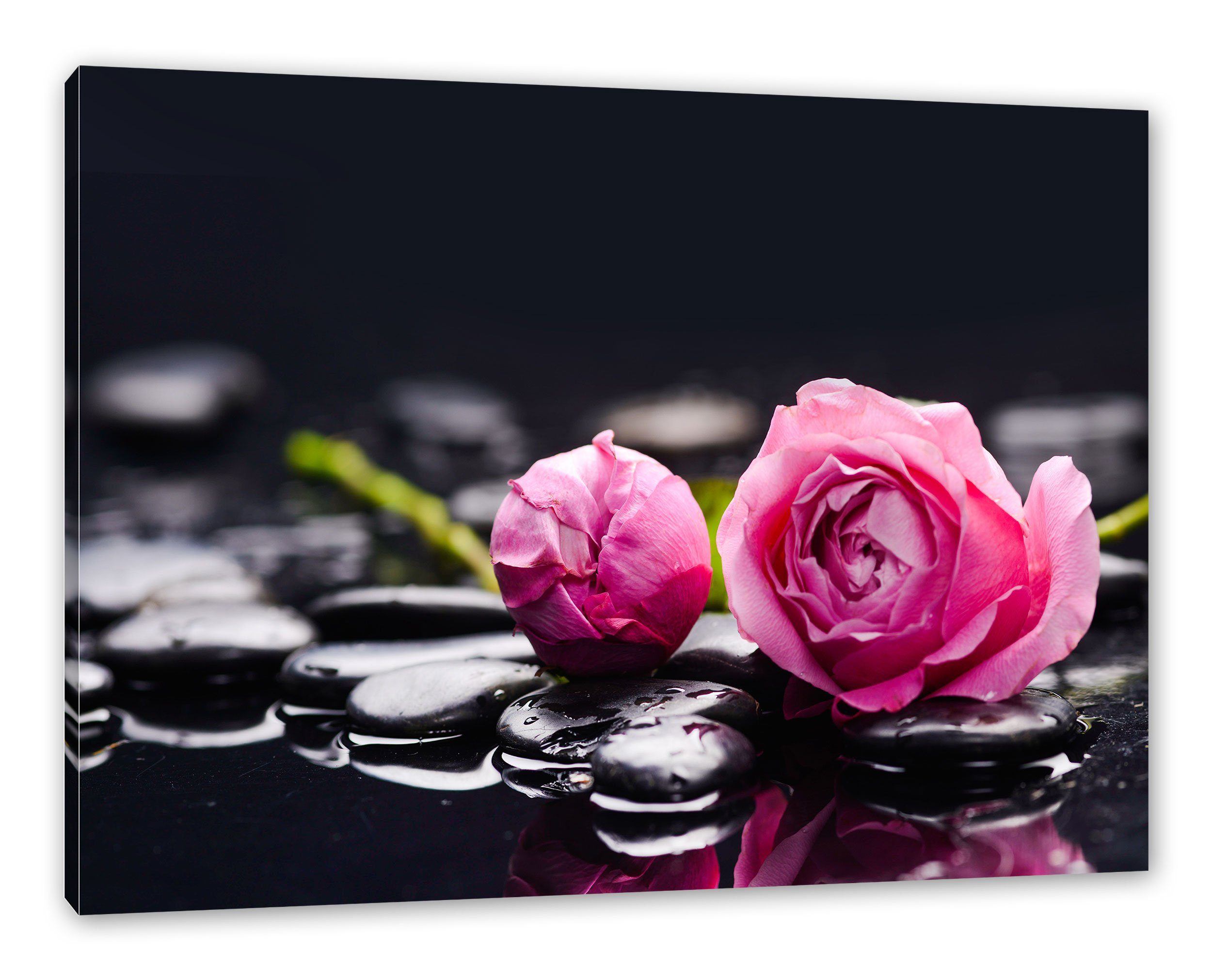 Hintergrund St), Hintergrund, Zackenaufhänger (1 Rosenblüte Rosenblüte inkl. Leinwandbild Pixxprint Rosa bespannt, Leinwandbild Rosa fertig