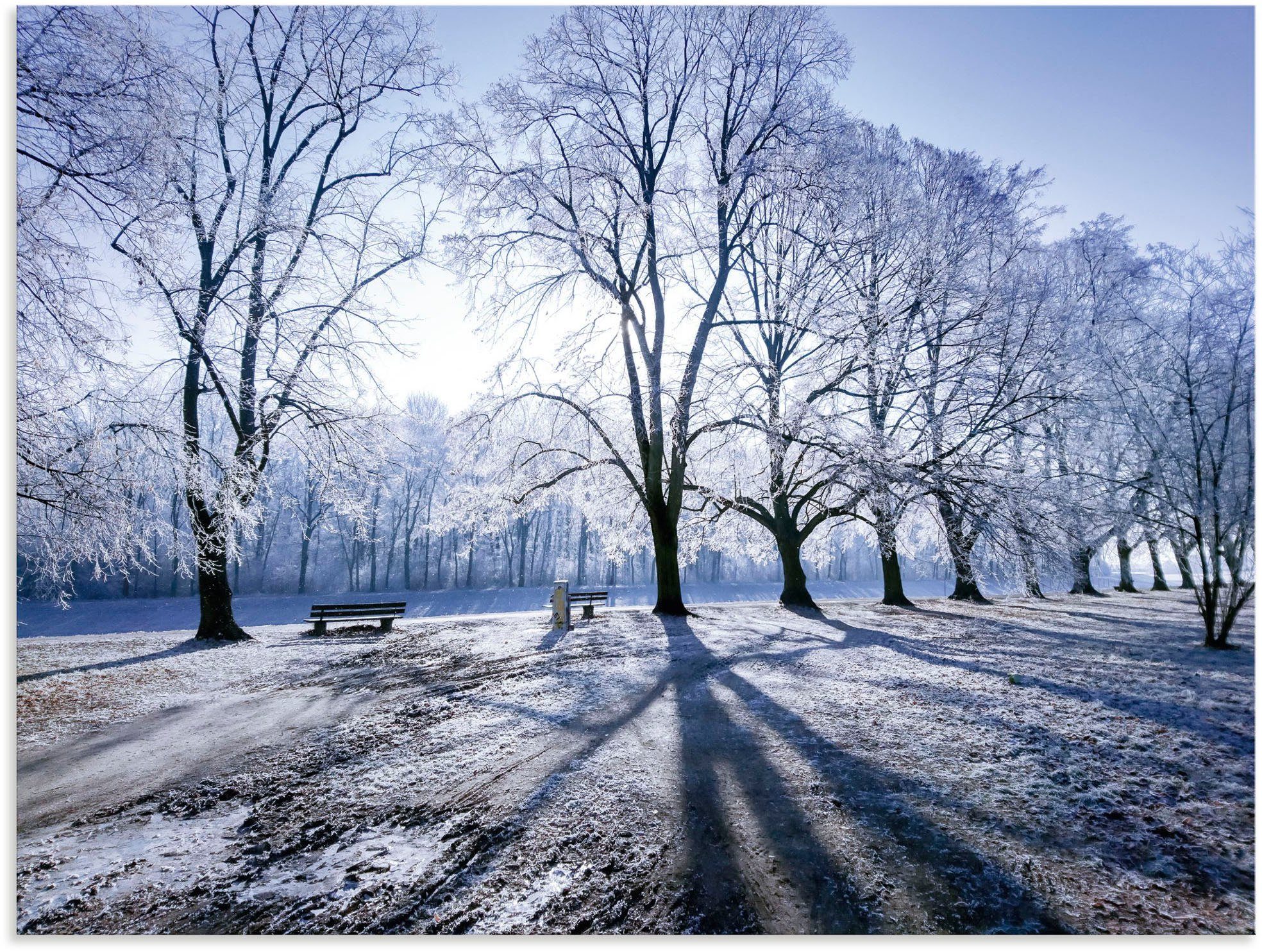 Winter, Licht Poster Schatten & (1 als im Baumbilder Alubild, Leinwandbild, Artland St), in Wandaufkleber Wintertraum. oder Größen Wandbild & versch. Wiesen