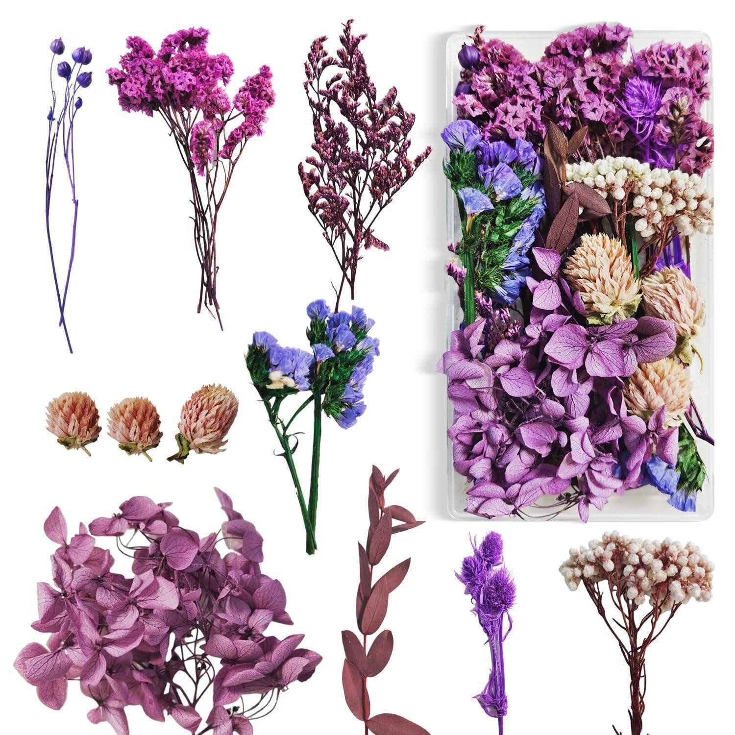 Trockenblume Trockenblumen Bastelset Lila Klein, LuxusKollektion, Höhe 1 cm
