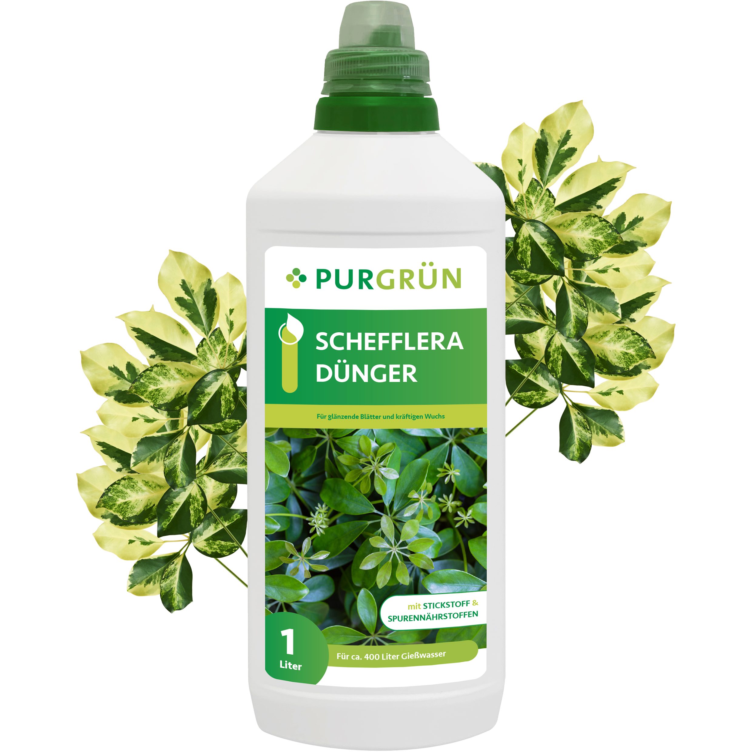 Universaldünger Purgrün Schefflera Dünger, NPK 10+4+6, für lebendige Blätter, 1L