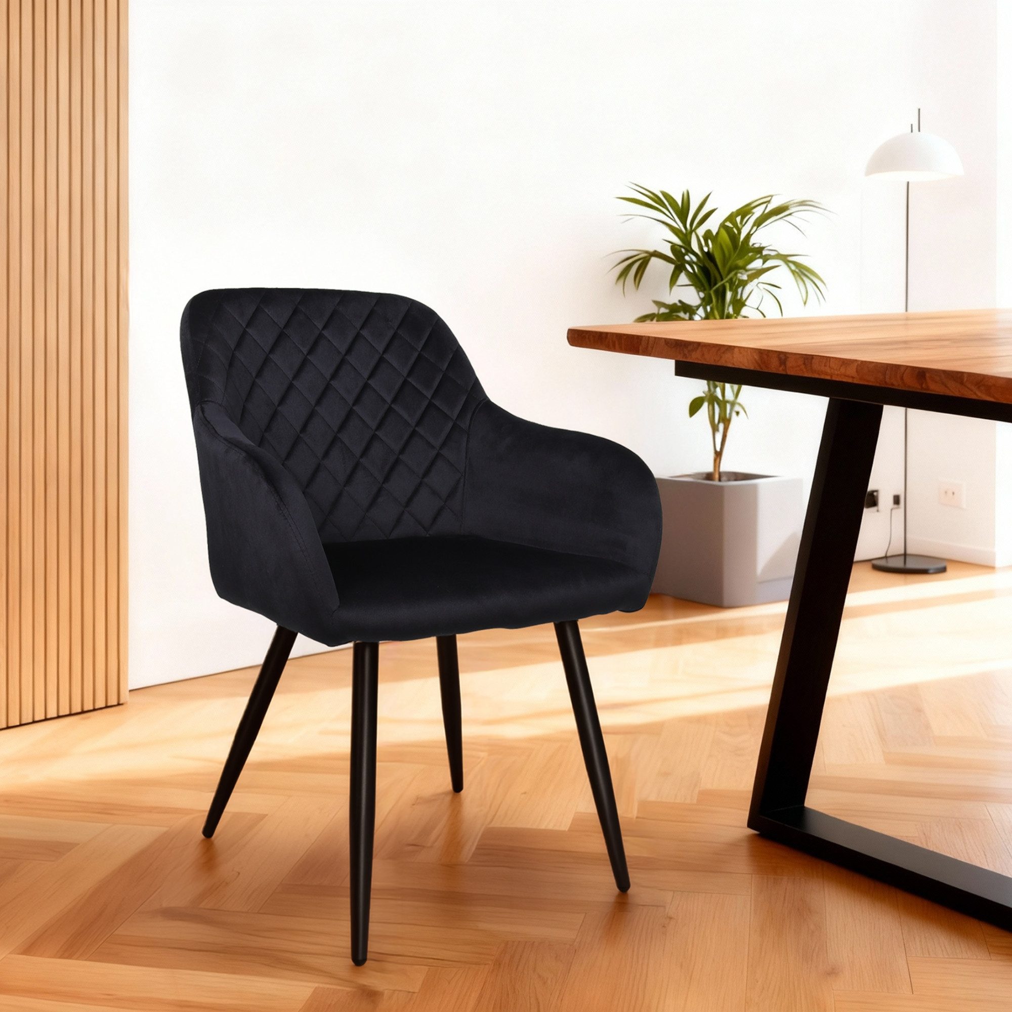 Albatros International Esszimmerstuhl Esszimmer Stühle 2 er Set SALO, Stuhl Stühle Esszimmerstühle, Küche (2er Set, Schwarz, Samt Bezug), Küchenstuhl Küchenstühle Essstühle für den Esstisch Ess Stühle