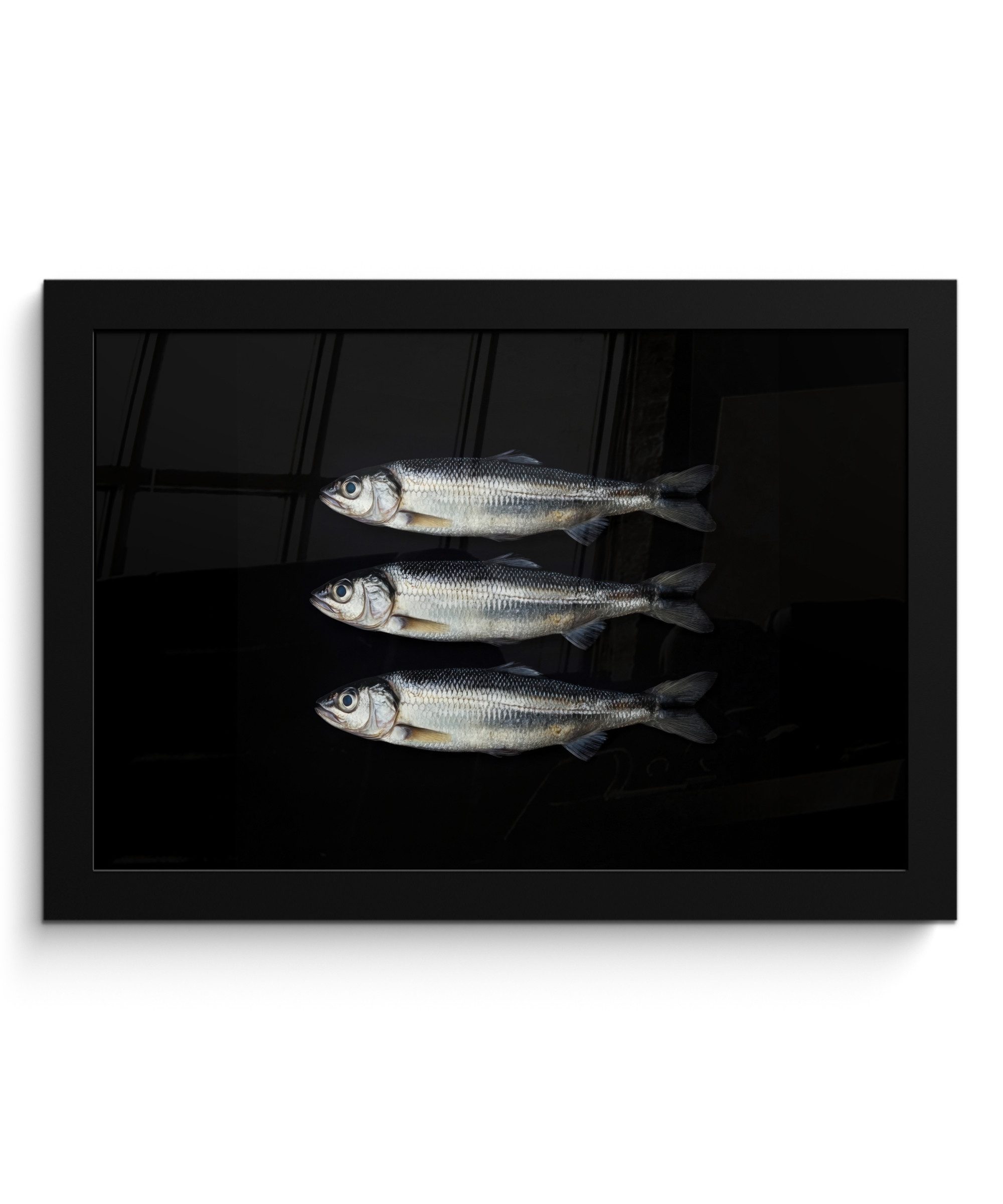 Poster Hering - Fisch - Schwarz