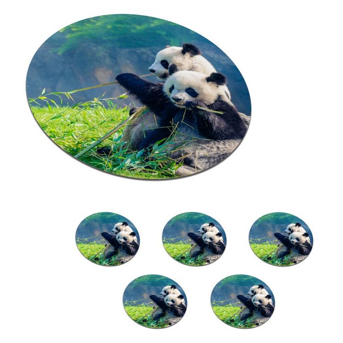 MuchoWow Glasuntersetzer Panda - Bambus - Gras - Tiere Zubehör für Gläser 6-tlg. Getränkeuntersetzer Tassenuntersetzer Korkuntersetzer Tasse Becher