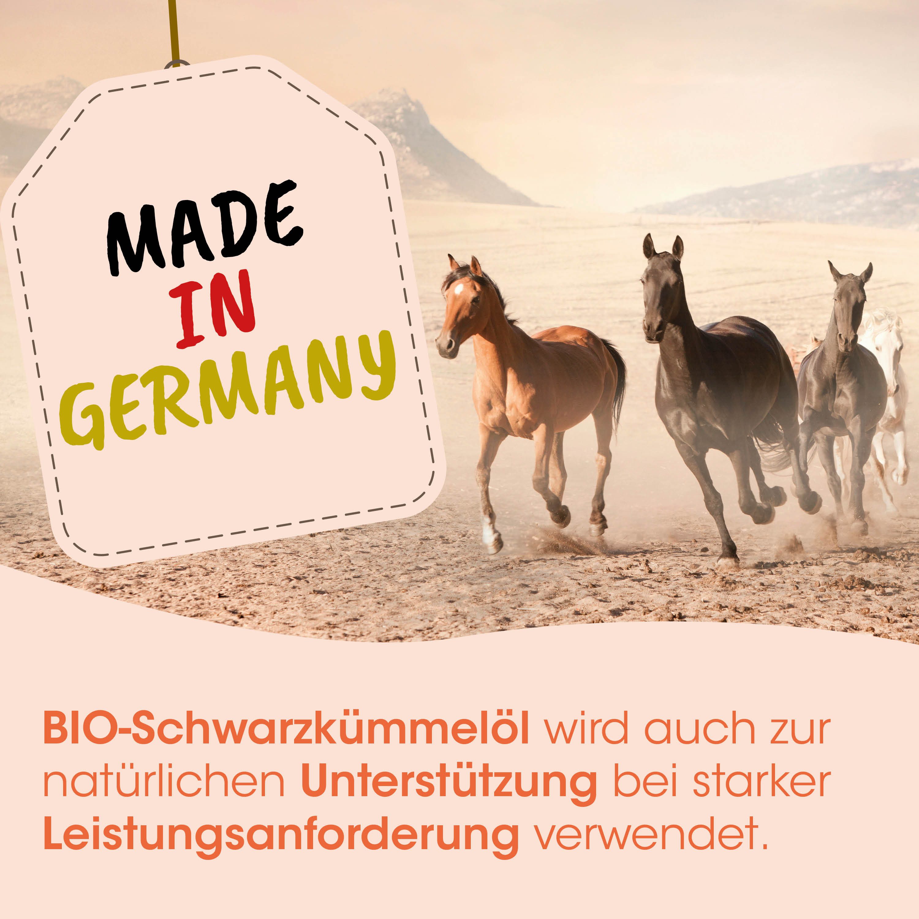 cdVet Singulares Bio-Ägyptisches Schwarzkümmelöl, Ergänzungsfutter für: Zwergkaninchen, Ratten, Meerschweinchen, Vögel, Pferde, Hunde, Reich an wertvollen natürlichen Vitaminen und essentiellen Fettsäuren