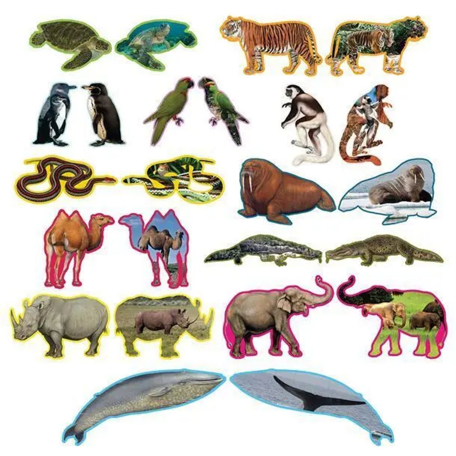 ambassador Puzzle 12 Tierpuzzles (Puzzle), Puzzleteile