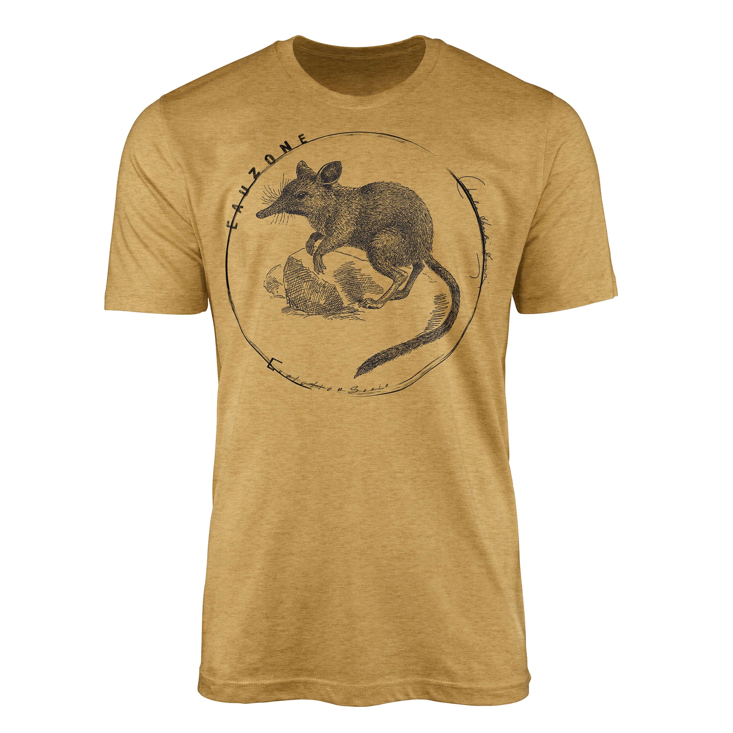 Sinus Art T-Shirt Evolution Herren T-Shirt Springspitzmaus Antique Gold