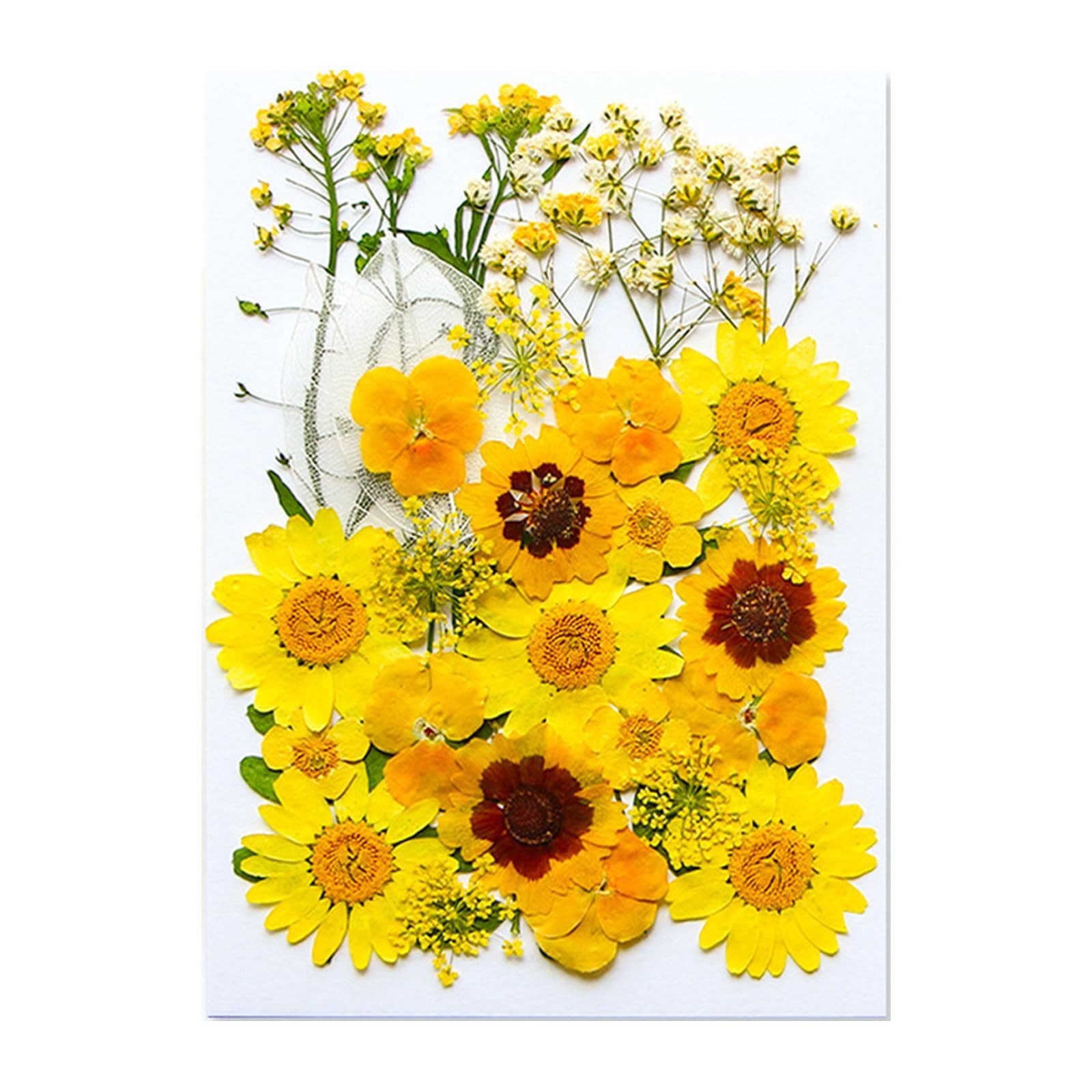 Trockenblume Getrocknete Blumen, Trockenblumen Zum Basteln, Klein Trockenblumen Set, Kaket, ​für Kunst DIY Harz Scrapbooking Handwerk Karten Machen