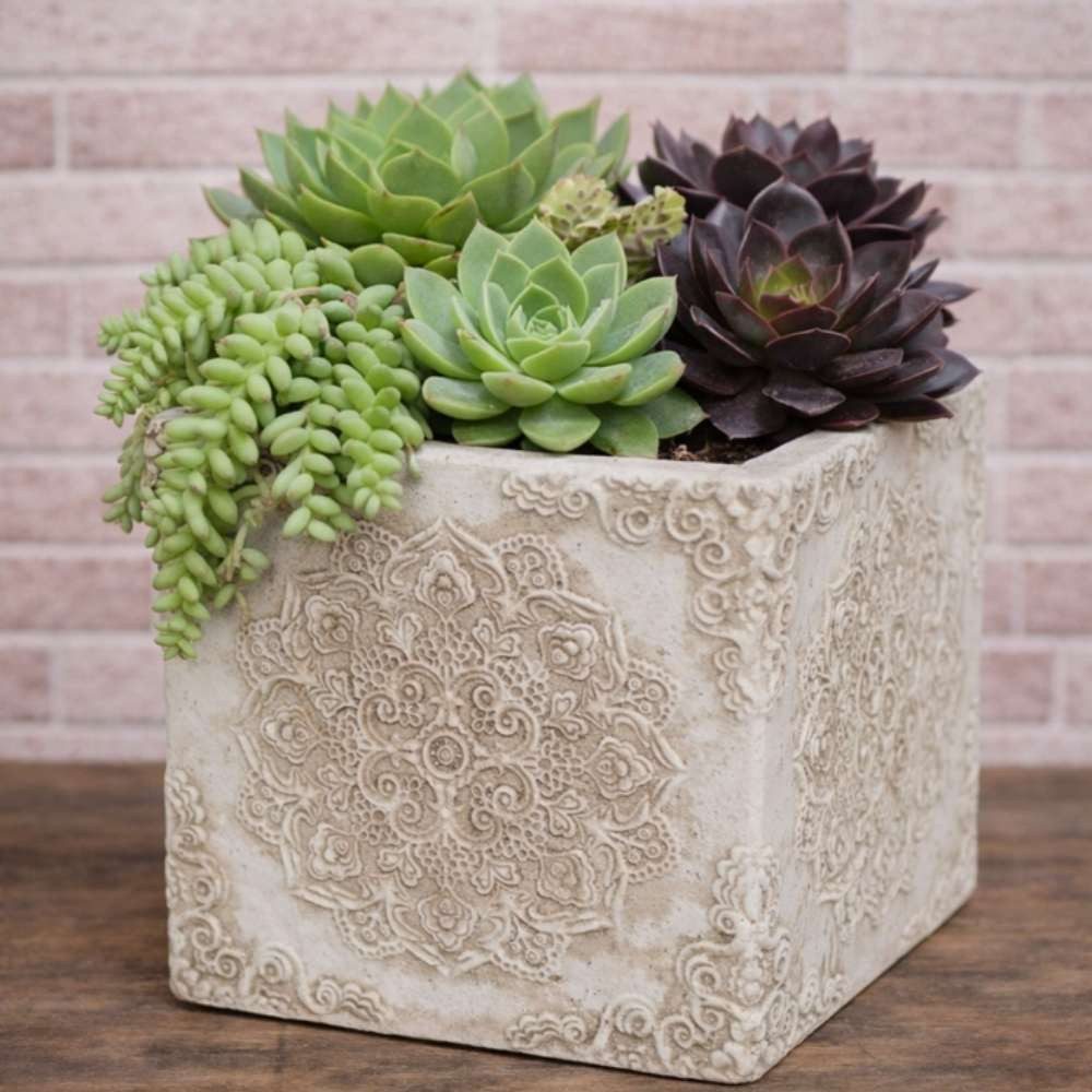 AltoBelli Blumentopf AltoBelli Blumentopf MARONI Beige mit Ornament ECKIG Zement 13x13 cm