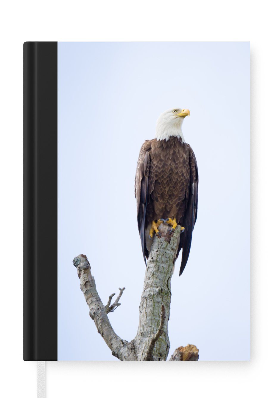 MuchoWow Notizbuch Amerikanischer Weißkopfseeadler - Adler - Raubvögel - Sitzen, Journal, Merkzettel, Tagebuch, Notizheft, A5, 98 Seiten, Haushaltsbuch