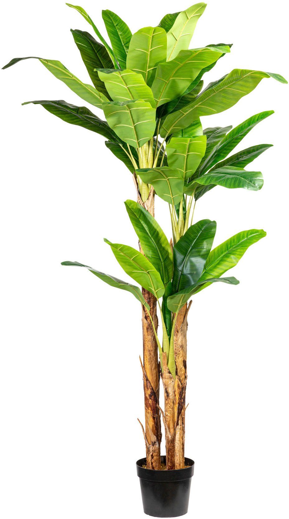 Kunstpalme Bananenpflanze Bananenpflanze, Creativ green, Höhe günstig online kaufen