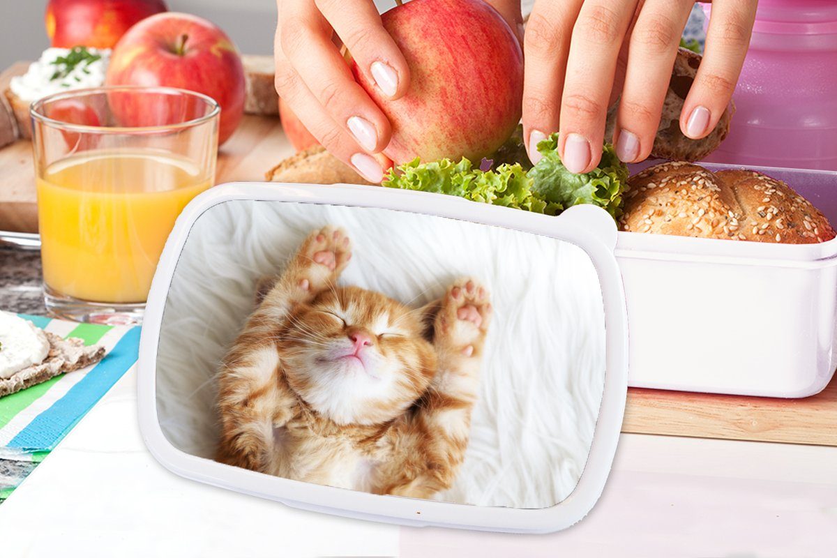 Brotdose, weiß Haustiere und Mädchen Kunststoff, - MuchoWow Brotbox Erwachsene, Kinder für Katze und für Jungs Rot - Kätzchen, - (2-tlg), Lunchbox