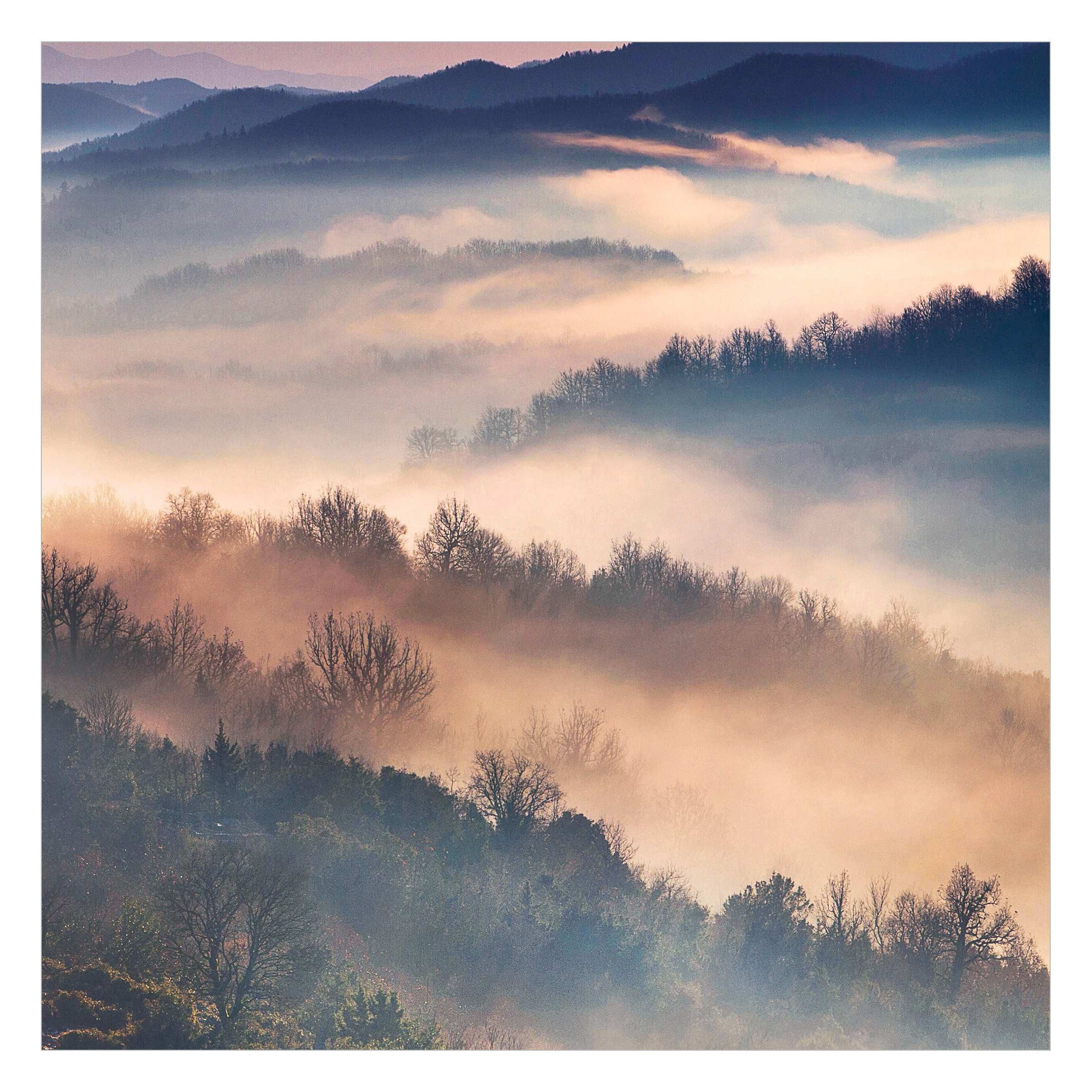 Bilderdepot24 Fototapete Wald Nebel Sonnenuntergang Natur günstig online kaufen