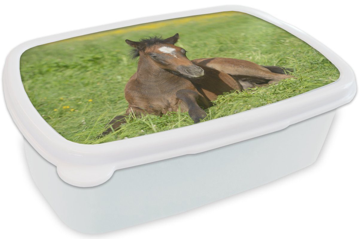 MuchoWow Lunchbox Pferde für weiß Brotbox Erwachsene, (2-tlg), und und - Mädchen Jungs Kunststoff, Gras, Licht Brotdose, Kinder für 
