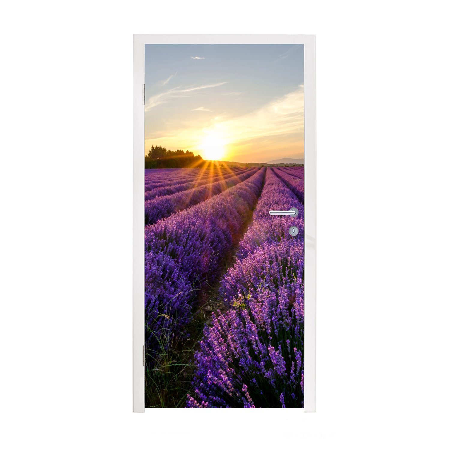MuchoWow Türtapete Lavendel - Blumen - Sonnenuntergang - Lila, Matt, bedruckt, (1 St), Fototapete für Tür, Türaufkleber, 75x205 cm
