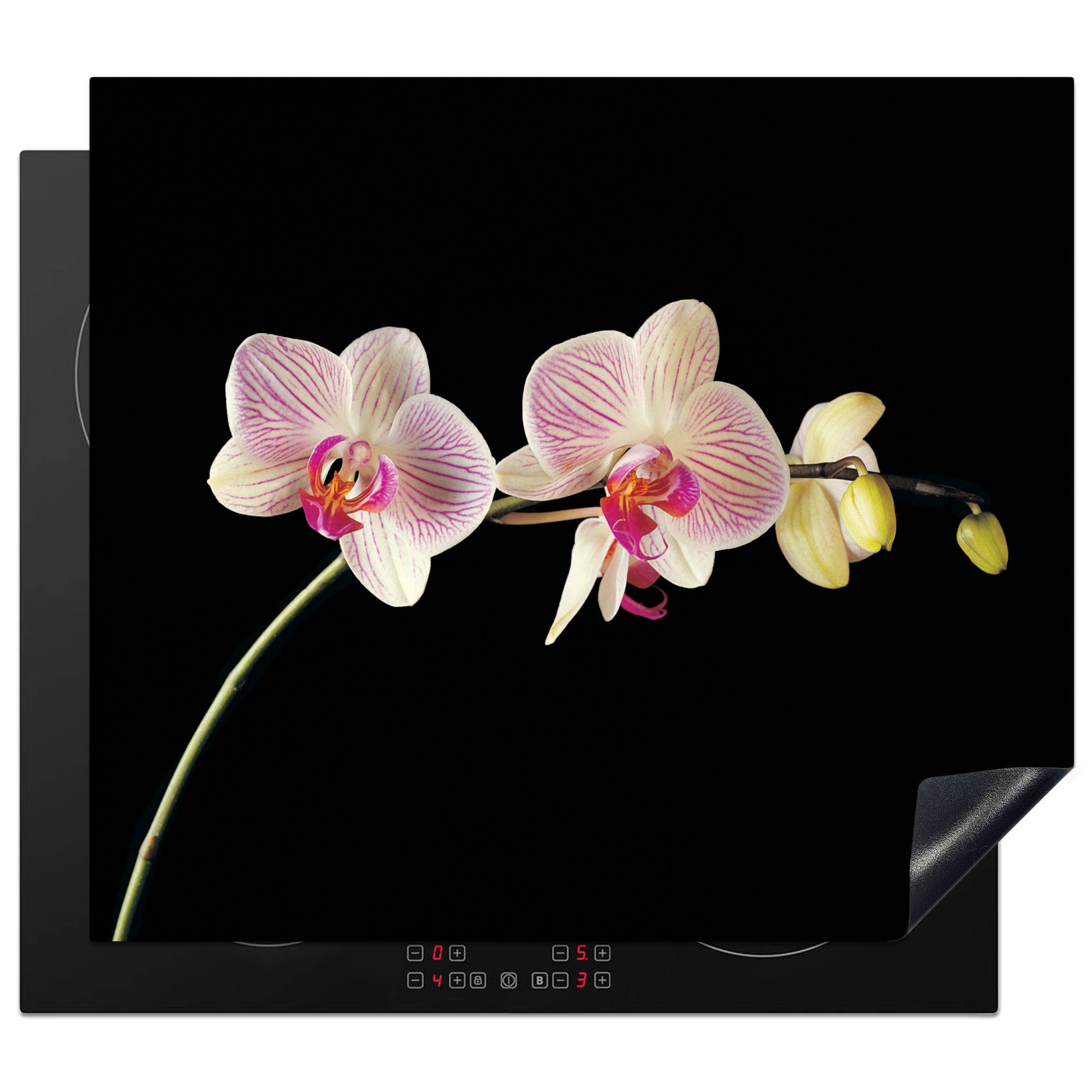 MuchoWow Herdblende-/Abdeckplatte orchidee-gegen-schwarzen-hintergrund-ytp60pct-v2, Vinyl, (1 tlg), 60x52 cm, Mobile Arbeitsfläche nutzbar, Ceranfeldabdeckung