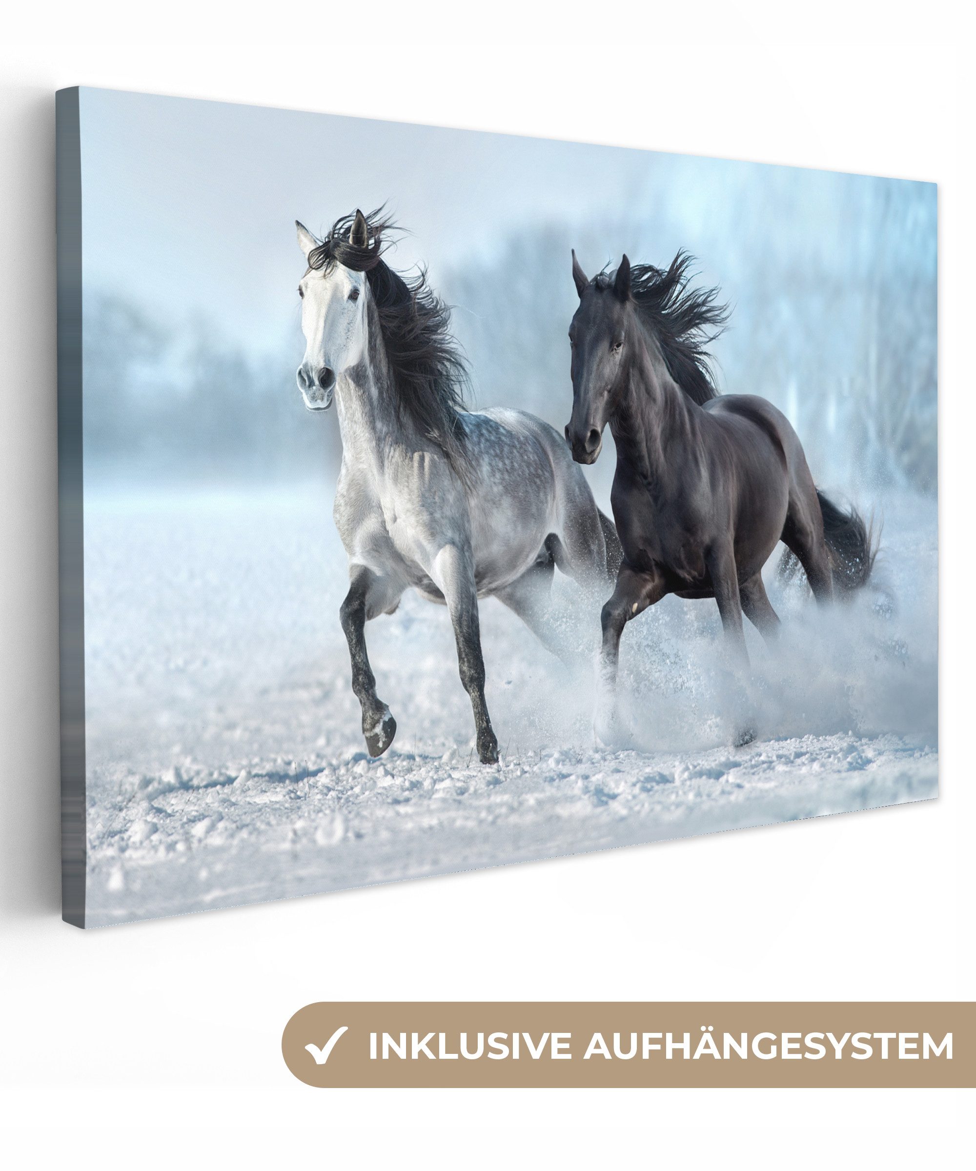OneMillionCanvasses® Leinwandbild Pferde - Winter - günstig online kaufen