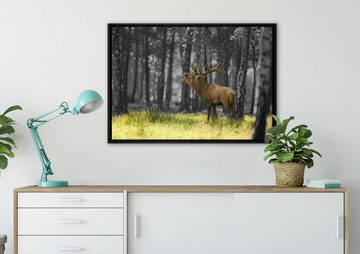 Pixxprint Leinwandbild röhrender Hirsch im Wald, Wanddekoration (1 St), Leinwandbild fertig bespannt, in einem Schattenfugen-Bilderrahmen gefasst, inkl. Zackenaufhänger
