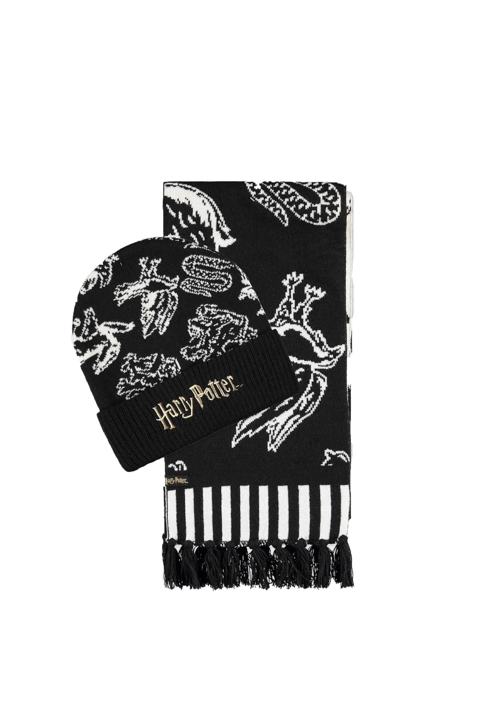 DIFUZED Schal Harry Potter Beanie & Schal Set Hogwarts Houses B/W, (1-St. Beanie & Schal)