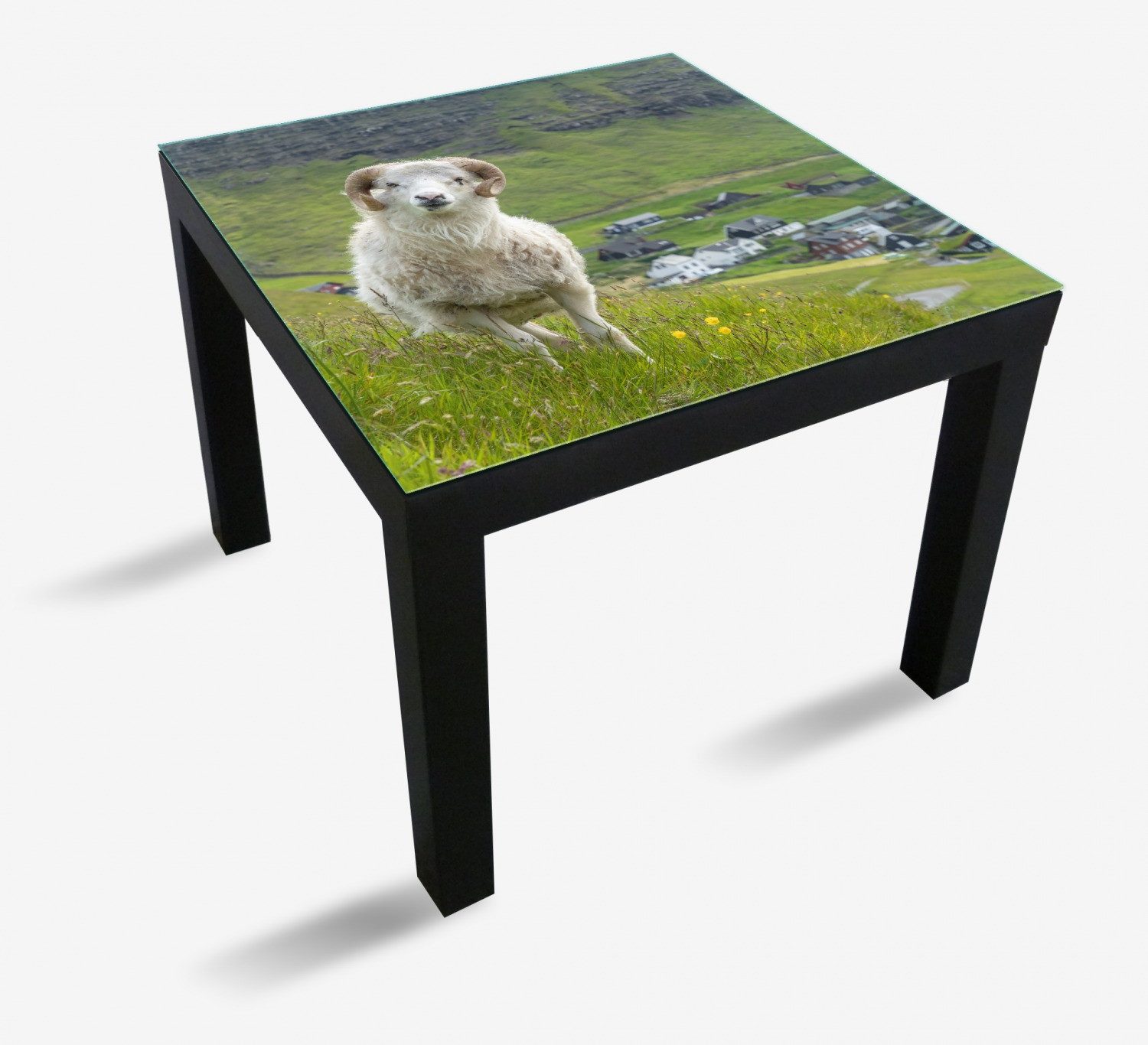 Wallario Tischplatte Wildes Schaf in der Natur (1 St), für Ikea Lack Tisch geeignet