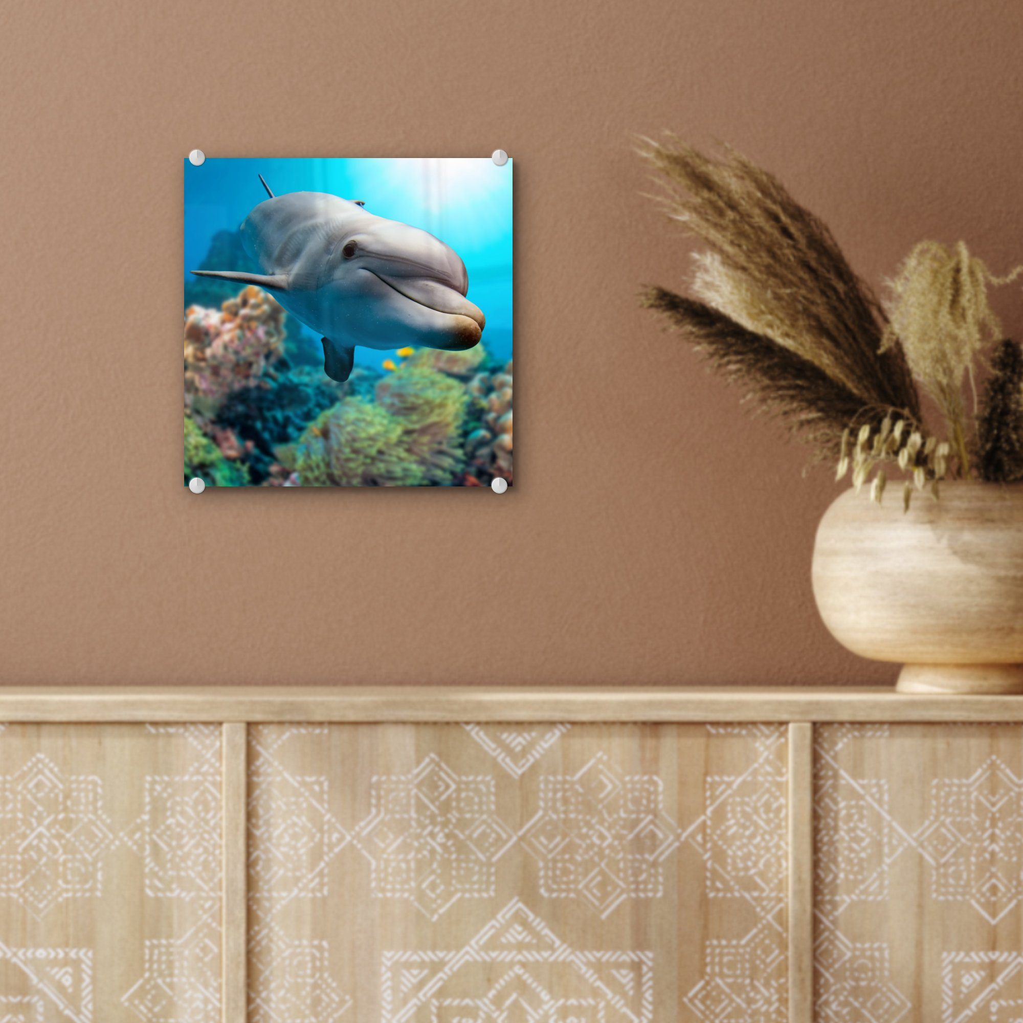 MuchoWow Acrylglasbild Glas Meer Wandbild Wanddekoration auf Foto Bilder - Glasbilder - St), Delfin - - auf Glas - Koralle, (1