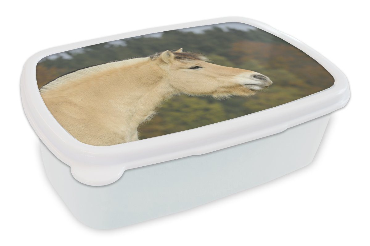 MuchoWow Lunchbox Nahaufnahme eines hellbraunen Fjordpferdes, Kunststoff, (2-tlg), Brotbox für Kinder und Erwachsene, Brotdose, für Jungs und Mädchen weiß