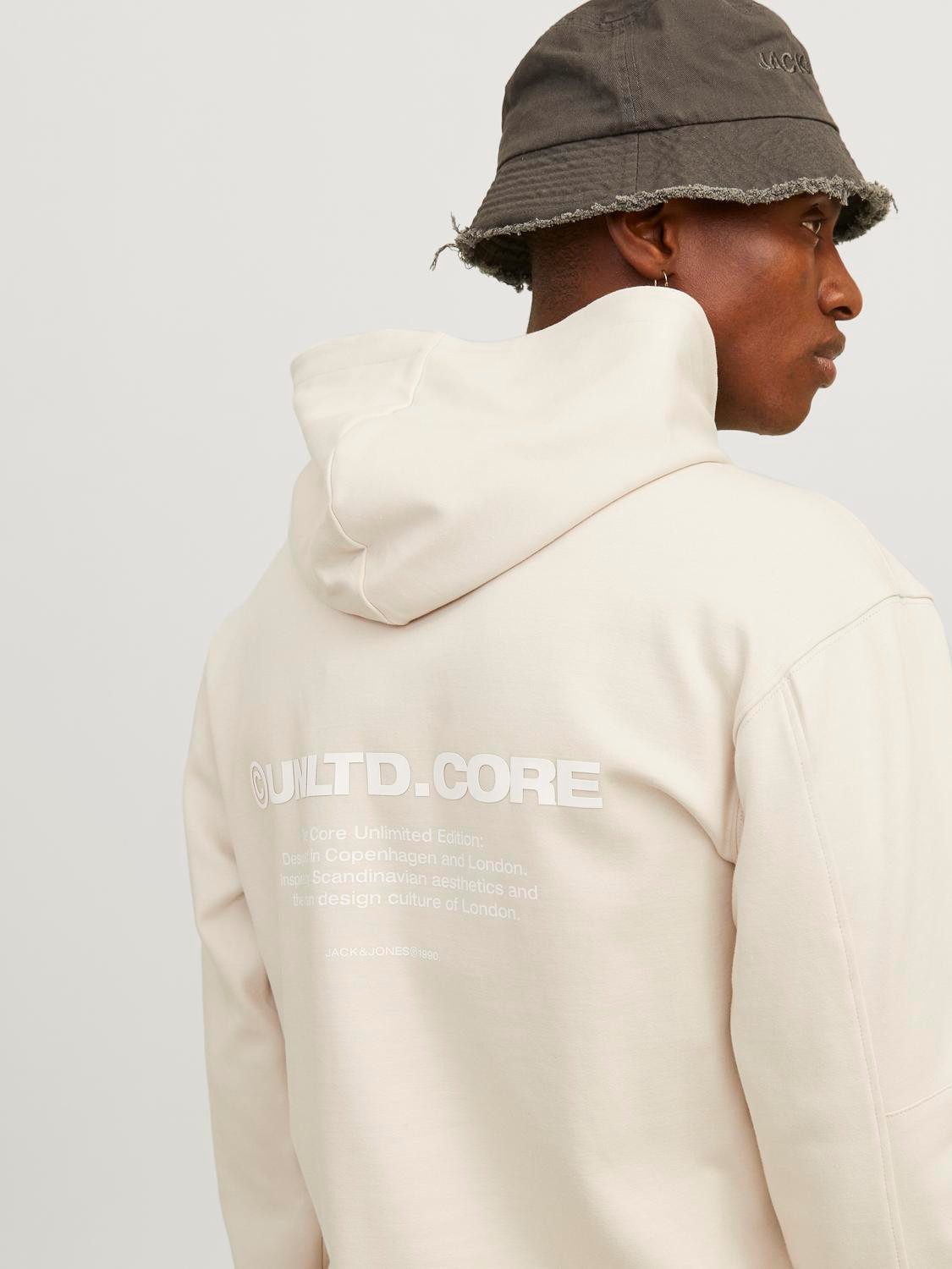 Jack & Jones Kapuzensweatshirt JCOAERO PRINT günstig online kaufen
