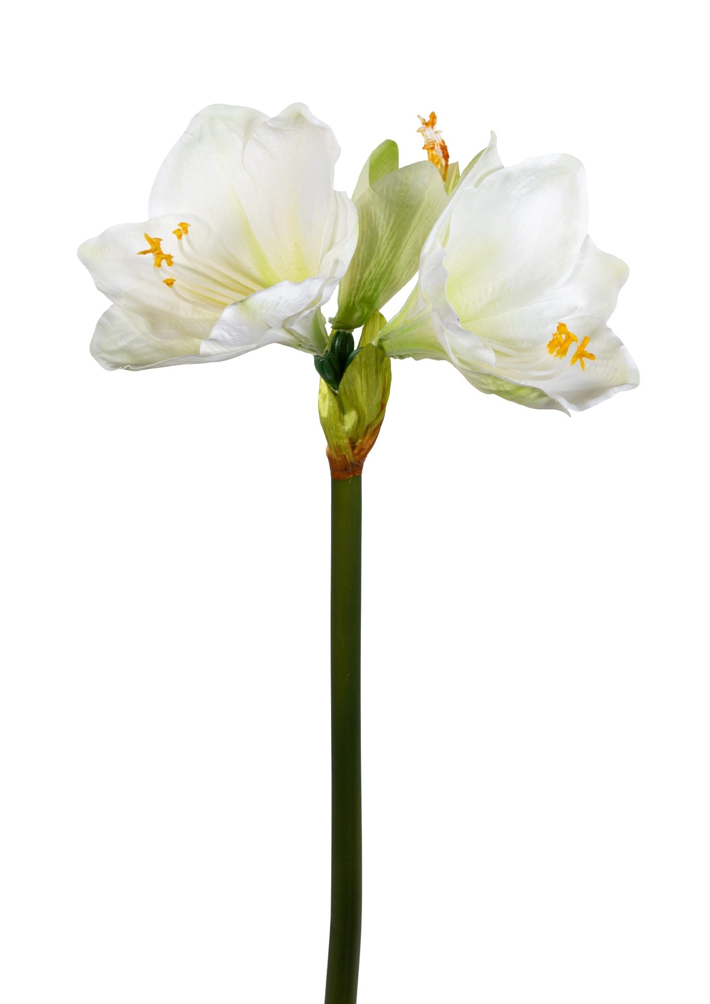 Kunstblume Amaryllis Real Touch 68cm GA Dekoblumen künstliche Blumen Ritter günstig online kaufen