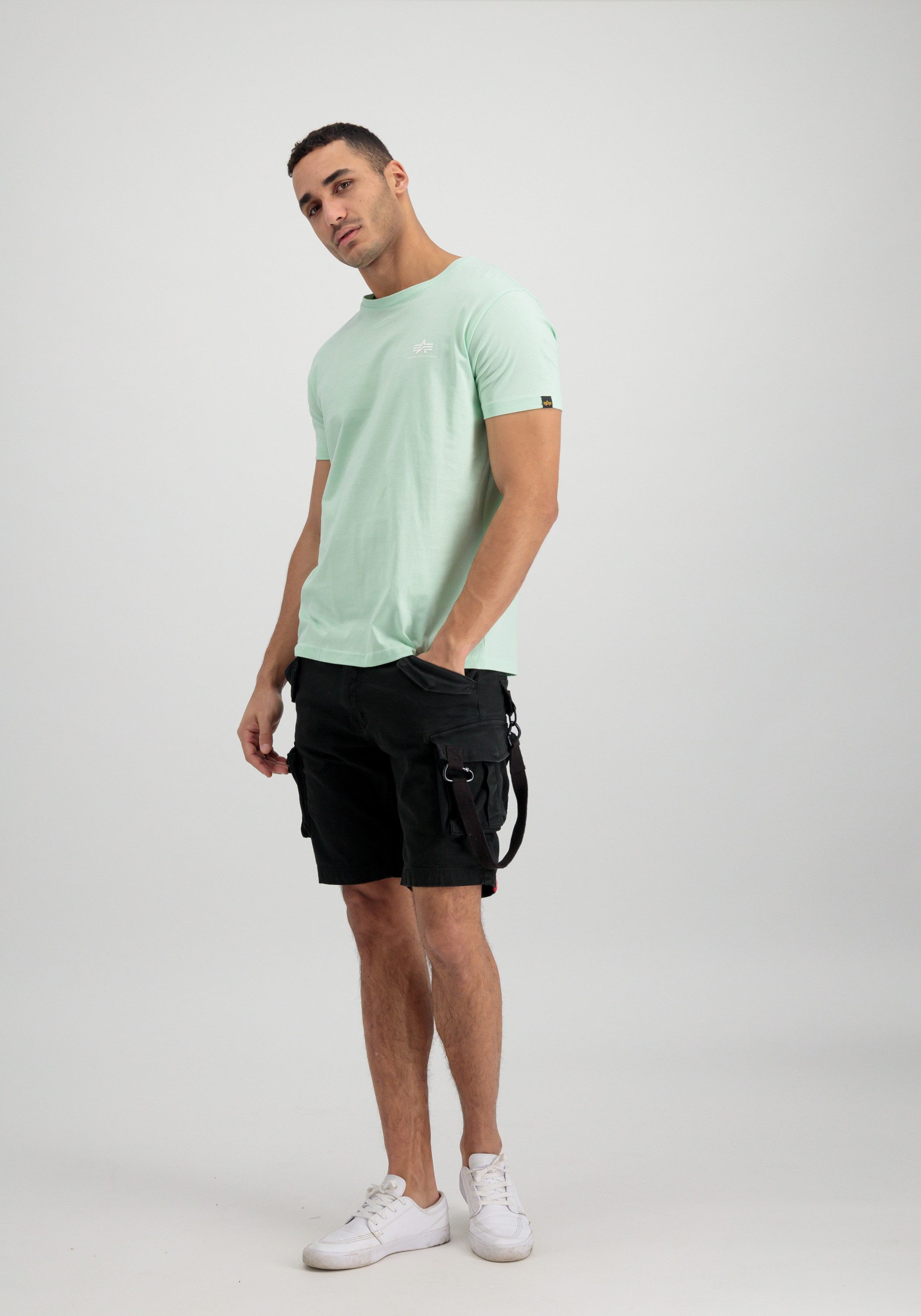 Alpha Industries T-Shirt Basic T-Shirt SL
