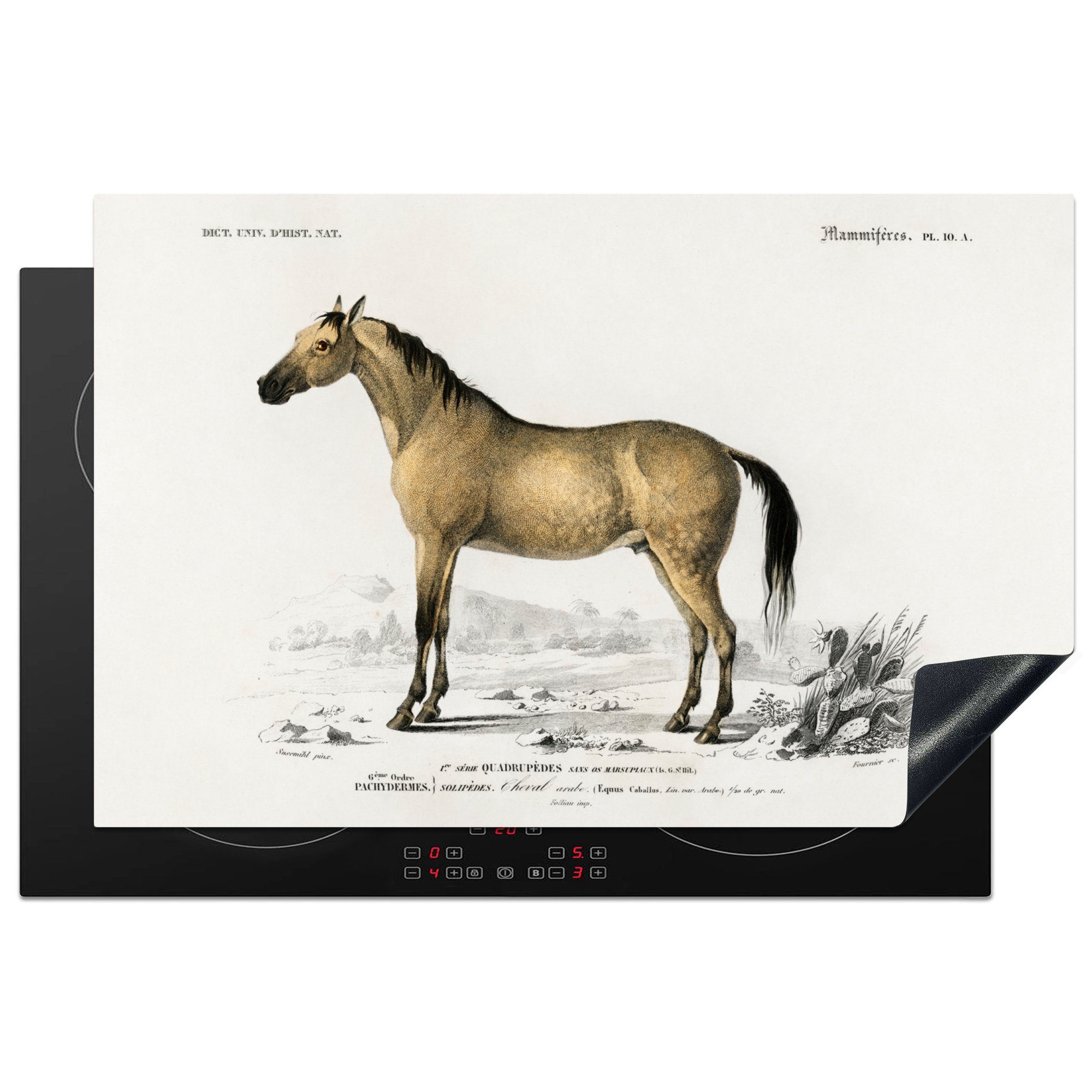 MuchoWow Herdblende-/Abdeckplatte Pferd - Vintage - Tier, Vinyl, (1 tlg), 81x52 cm, Induktionskochfeld Schutz für die küche, Ceranfeldabdeckung