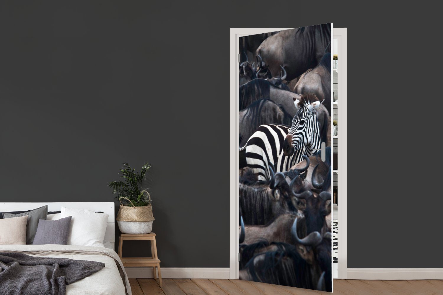 - Zebra - Matt, für 75x205 Tür, St), bedruckt, Türtapete Büffel MuchoWow Fototapete Türaufkleber, (1 cm Braun,