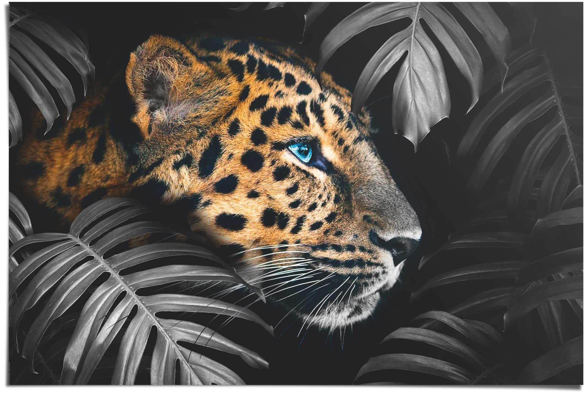 [Nur Sonderverkauf verfügbar] Reinders! Poster Leopard Modern, Tiermotiv Jungle St) - (1 - - Eyecatcher