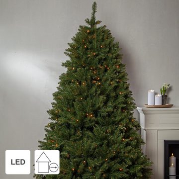 STAR TRADING LED Dekolicht Künstlicher Weihnachtsbaum,Narvik, Fichte, 300 LEDs, groß, 210cm, Künstlicher Weihnachtsbaum,Narvik, Fichte, 300 LEDs, groß, 210cm