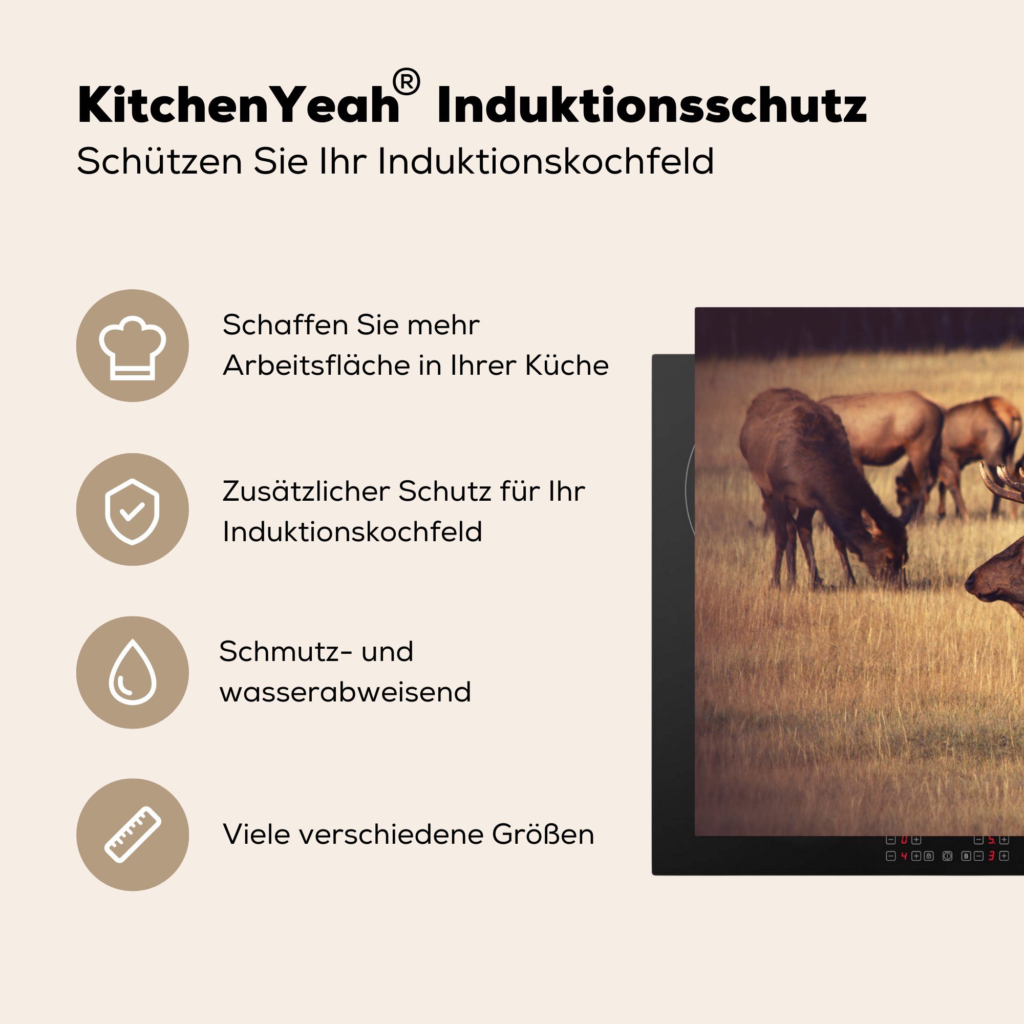 die 81x52 küche, Induktionskochfeld für cm, MuchoWow Braun, (1 - Ceranfeldabdeckung - Vinyl, Herdblende-/Abdeckplatte Hirsch Geweih Schutz tlg),