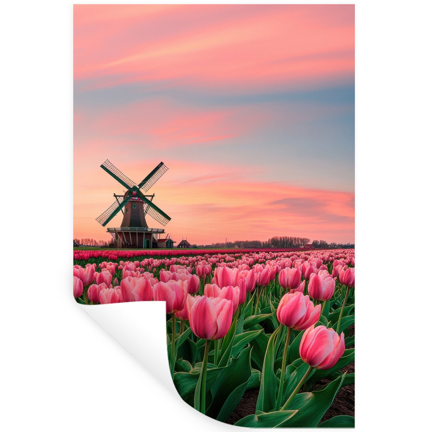 MuchoWow Wandsticker Tulpen - Mühle - Niederlande (1 St), Wanddeko, Aufkleber, Wandtattoo, 80x120 cm