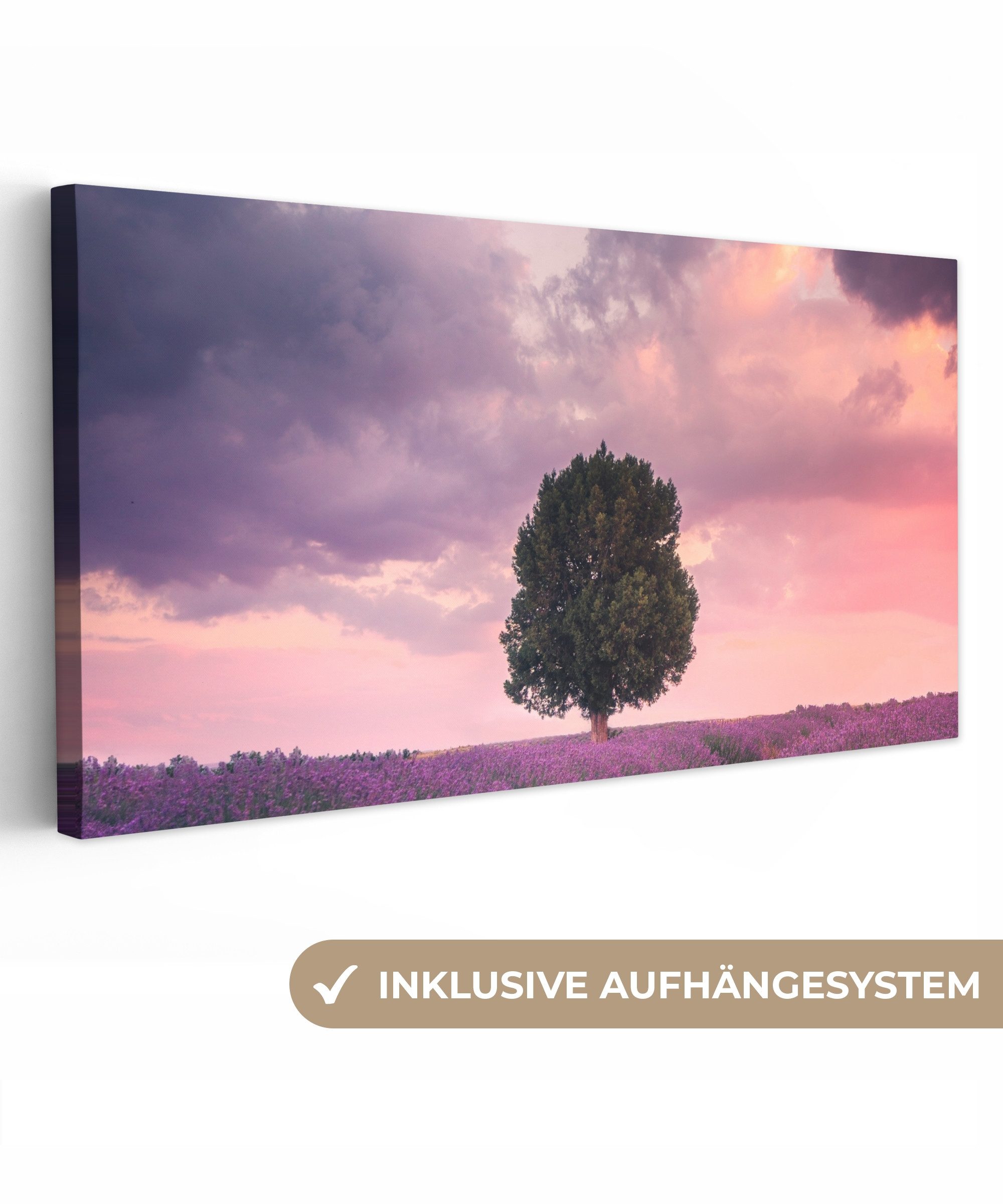 OneMillionCanvasses® Leinwandbild Panorama Lavendel - Blumen günstig online kaufen