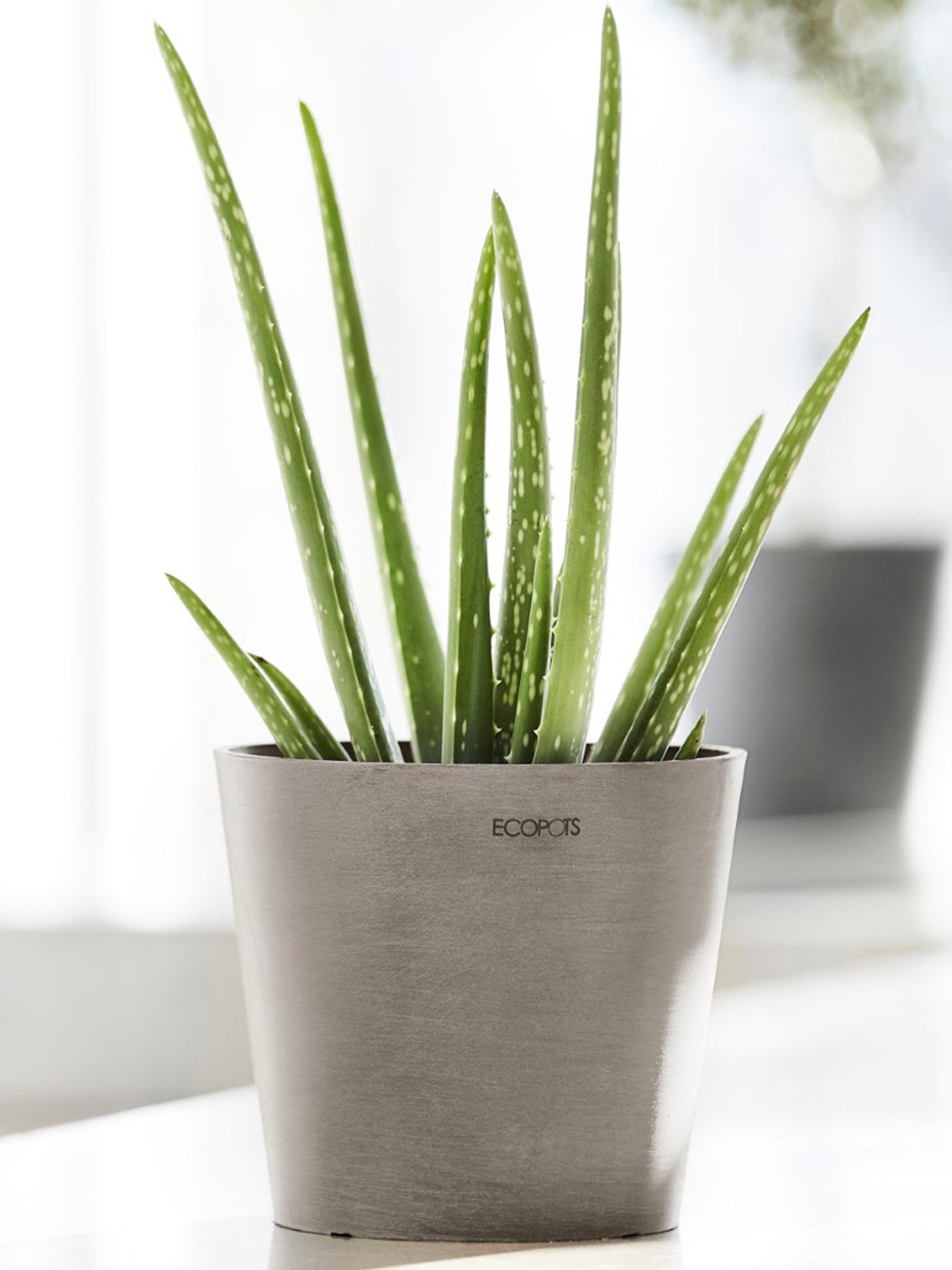 Ecopots Pflanztopf Amsterdam Mini Taupe 17 cm x 14,9 cm günstig online kaufen