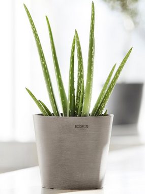 ECOPOTS Blumentopf Amsterdam Mini 17 Taupe, für den Innenbereich