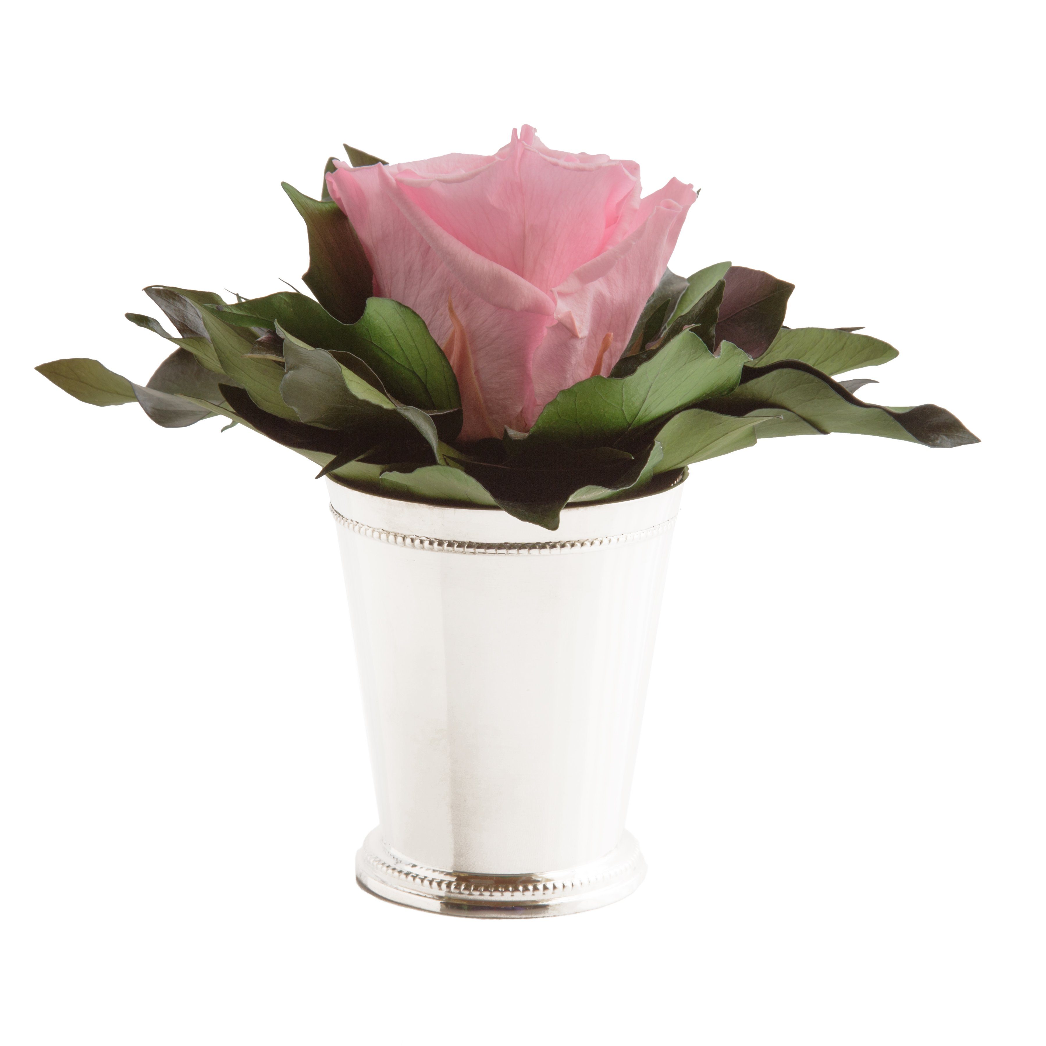 Künstliche Zimmerpflanze 1 Infinity Blume Becher silberfarben Geschenkidee für Frauen Rose, ROSEMARIE SCHULZ Heidelberg, Höhe 12 cm, Echte Rose lange haltbar Rosa