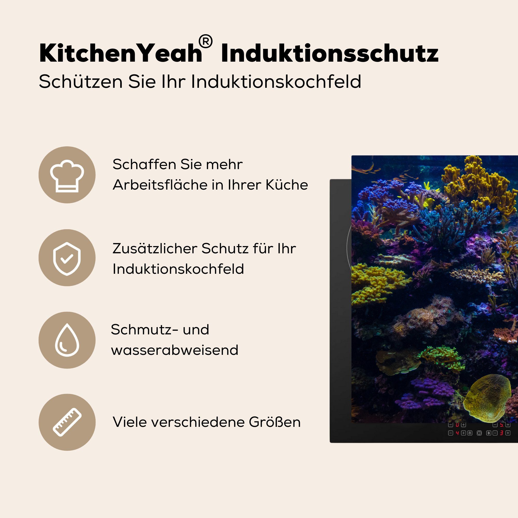 Schutz Herdblende-/Abdeckplatte Farben Vinyl, - küche, 81x52 - Induktionskochfeld für cm, tlg), Fisch, Koralle die MuchoWow Ceranfeldabdeckung (1
