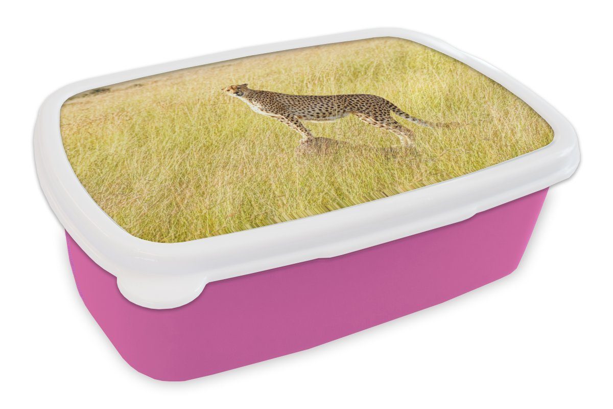 MuchoWow Lunchbox Gepard in der Masai Mara, Kunststoff, (2-tlg), Brotbox für Erwachsene, Brotdose Kinder, Snackbox, Mädchen, Kunststoff rosa