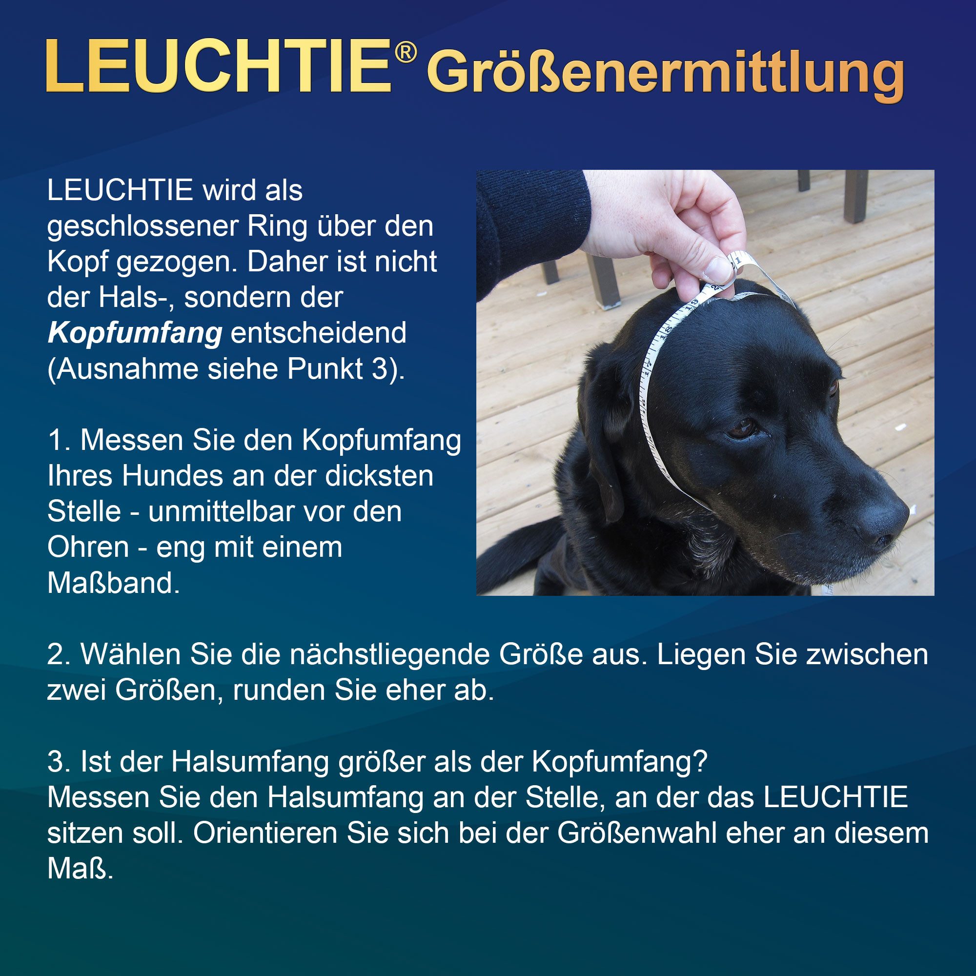LEUCHTIE Leuchthalsband, wasserdichtes LED Hundehalsband für kleine Hunde mit 50 h Leuchtdauer
