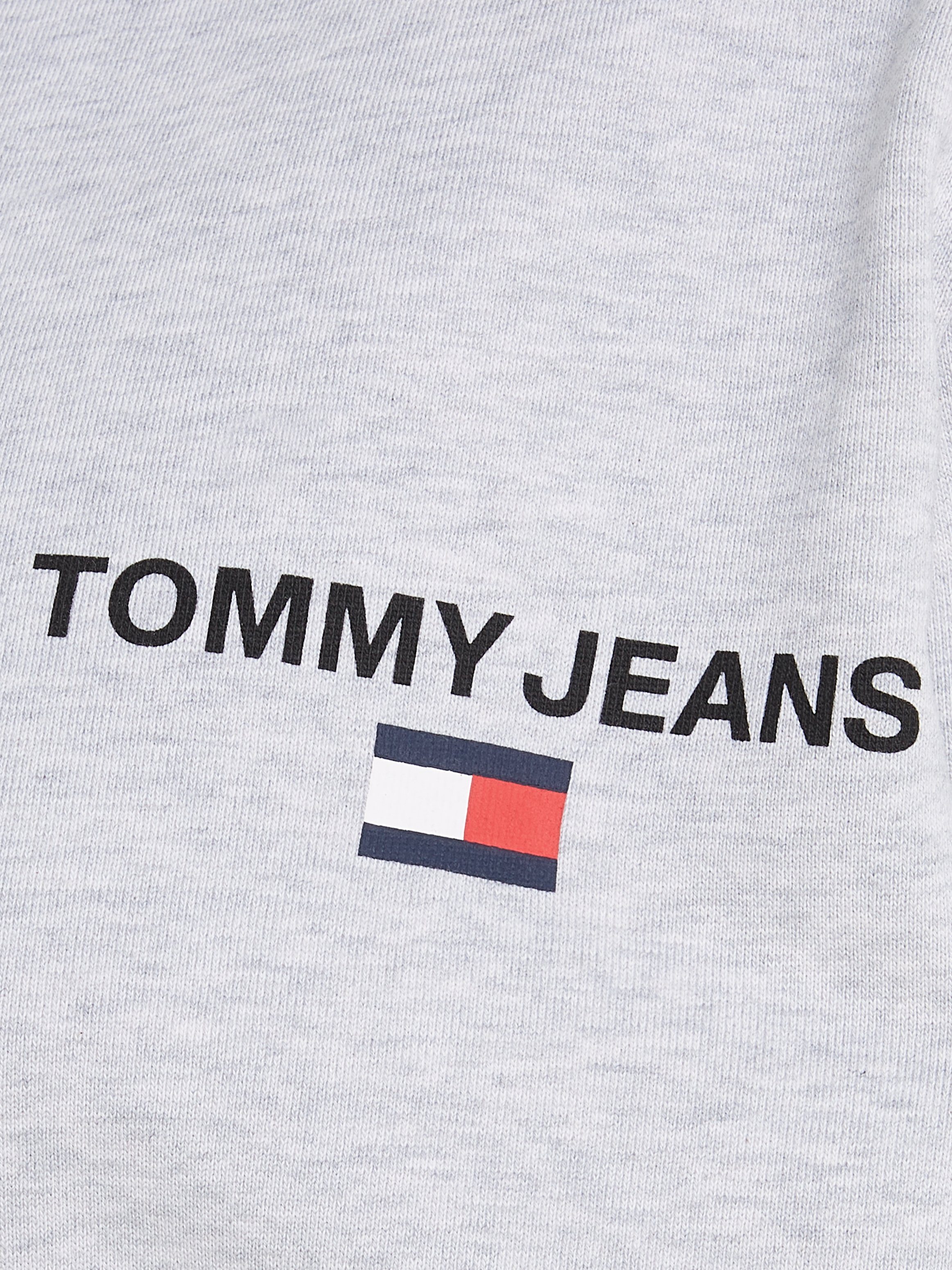 Tommy Jeans Plus HOOD Kapuzensweatjacke TJM ENTRY REG Grey ZIP-THRU PLUS Htr Silver