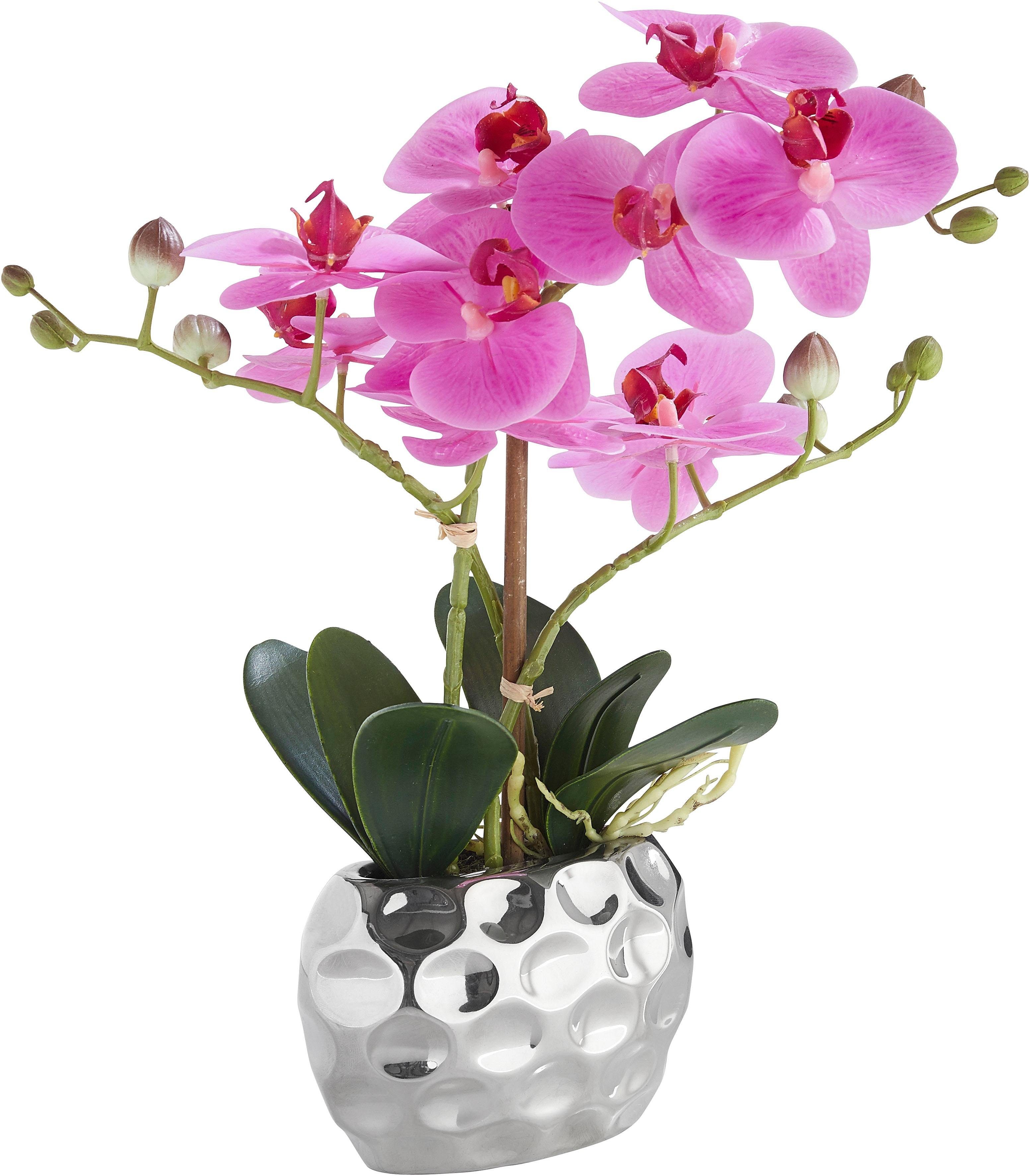 Kunstpflanze Orchidee Orchidee, Leonique, Höhe 38 cm, Kunstorchidee, im Topf