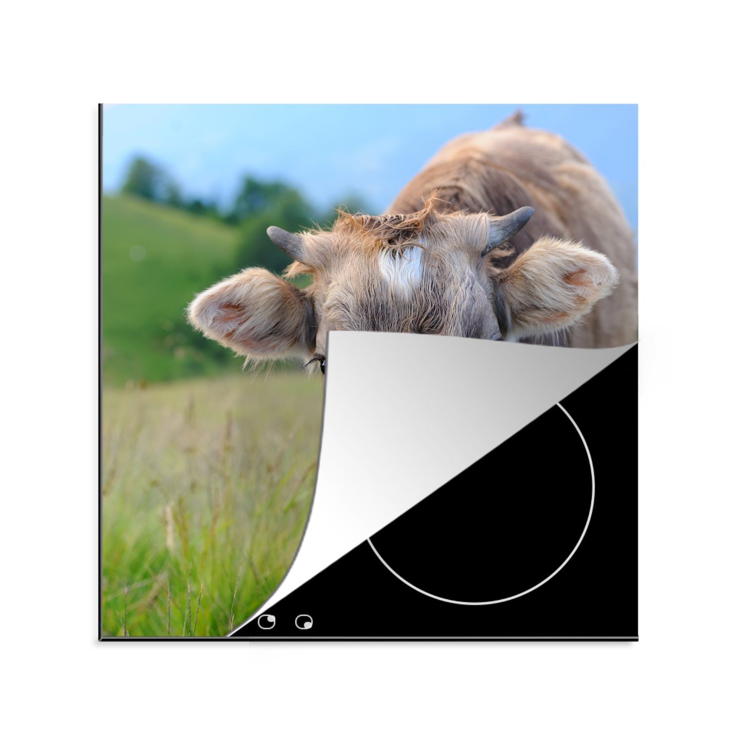 MuchoWow Herdblende-/Abdeckplatte Kuh - Tiere - Braun - Gras, Vinyl, (1 tlg), 78x78 cm, Ceranfeldabdeckung, Arbeitsplatte für küche