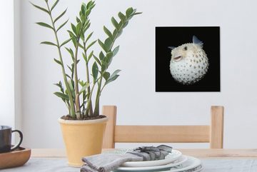 OneMillionCanvasses® Leinwandbild Fische - Meerestiere - Porträt, (1 St), Leinwand Bilder für Wohnzimmer Schlafzimmer