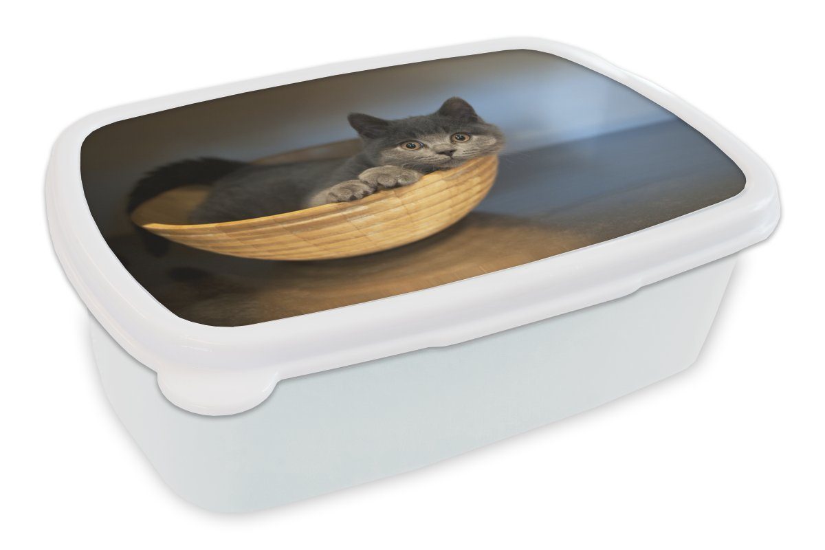 MuchoWow Lunchbox Foto einer Britisch Kurzhaar in einer Holzschale, Kunststoff, (2-tlg), Brotbox für Kinder und Erwachsene, Brotdose, für Jungs und Mädchen weiß