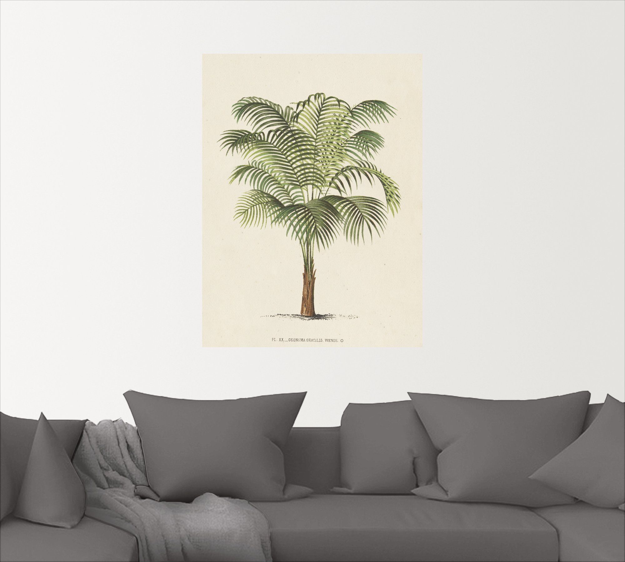 Artland Wandbild Palme II, Wandaufkleber Poster oder Pflanzen Größen Alubild, als versch. Leinwandbild, (1 in St)