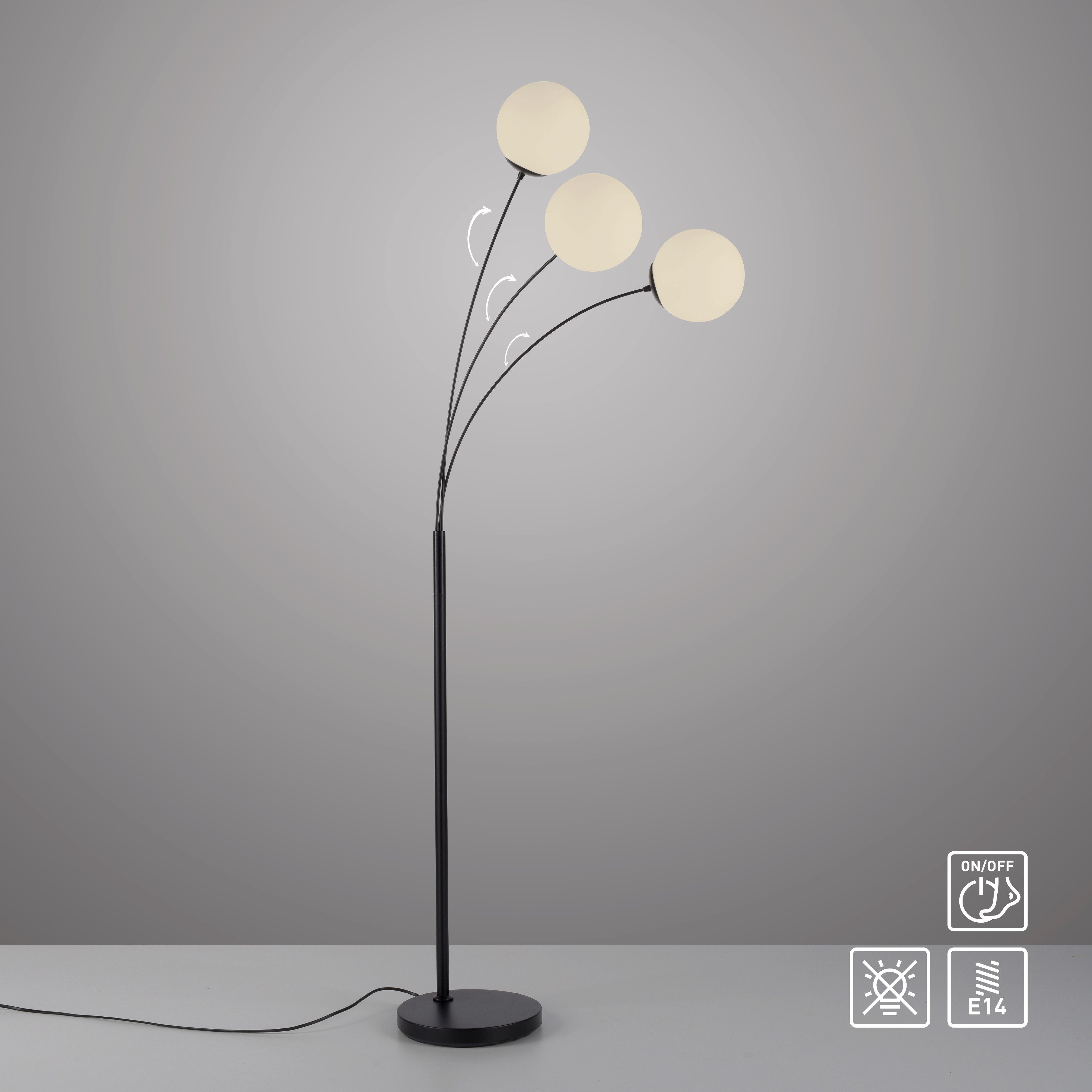 my home Stehlampe Nymölla, ohne Leuchtmittel, Stehleuchte mit großen Glasku günstig online kaufen