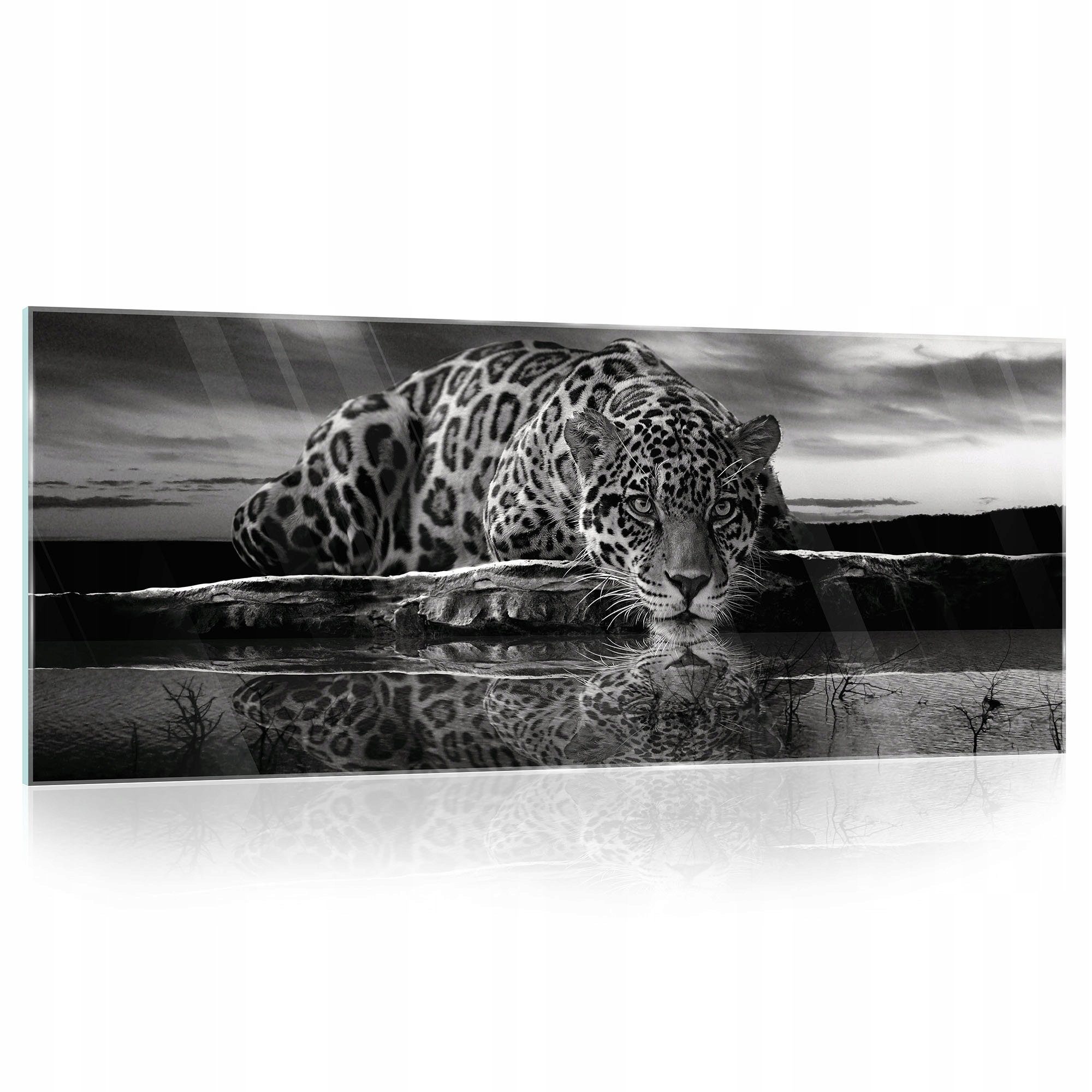 Wallarena Glasbild Tiger Tiere Schwarz Modern günstig online kaufen