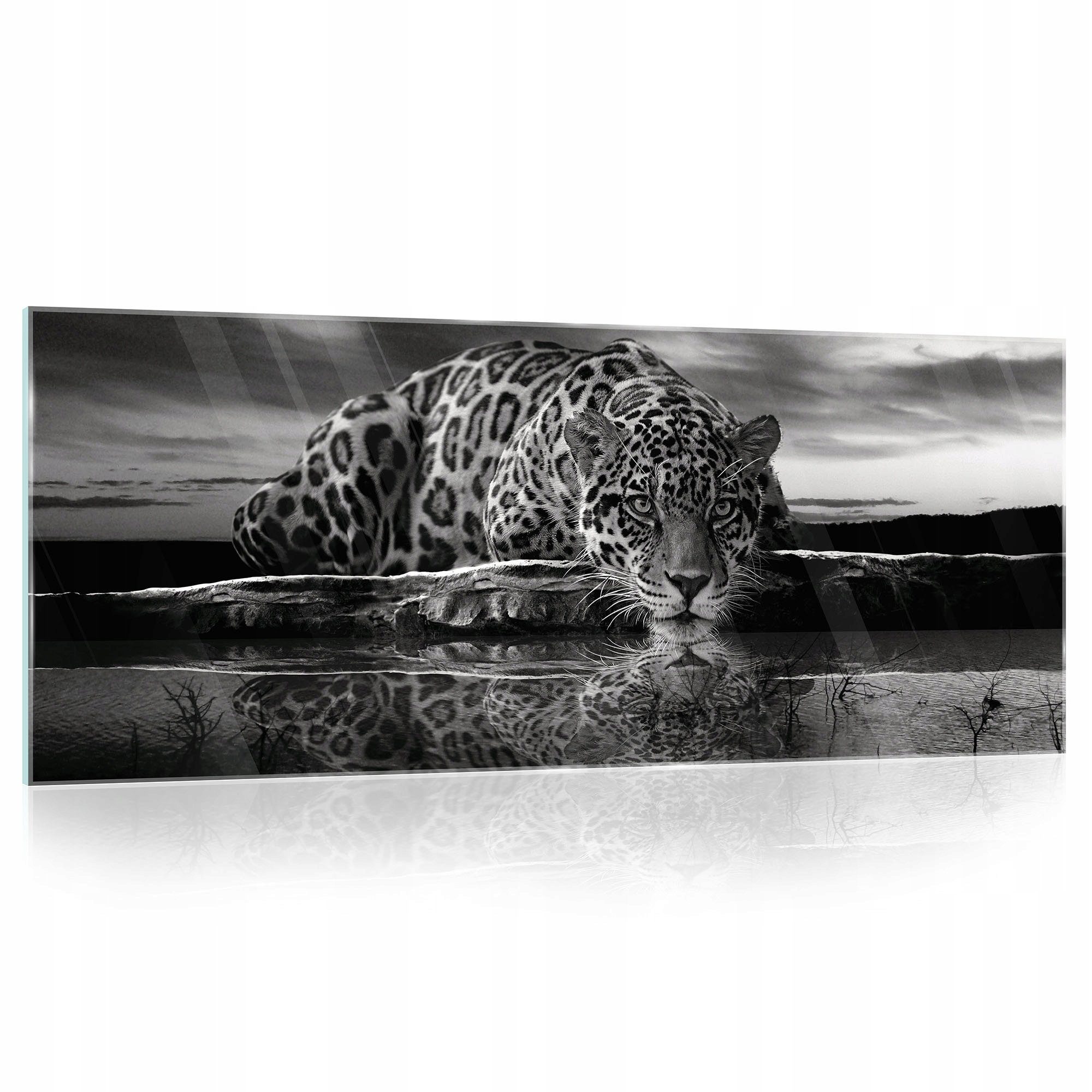 Wallarena Glasbild Tiere Tiger Schwarz, 125x50 cm Modern Glasbilder Wohnzimmer Schlafzimmer Badezimmer, Bild Auf Glas Wandbilder, Tiere (Einteilig), Premium Glasbilder | Bilder